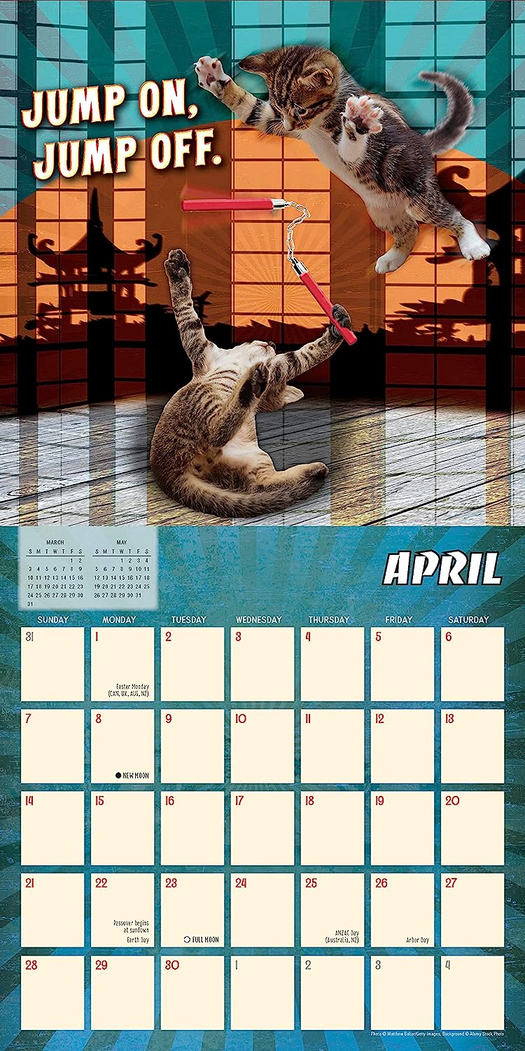 2024 Karate Kat - Square Wall Calendar  SOLD OUT