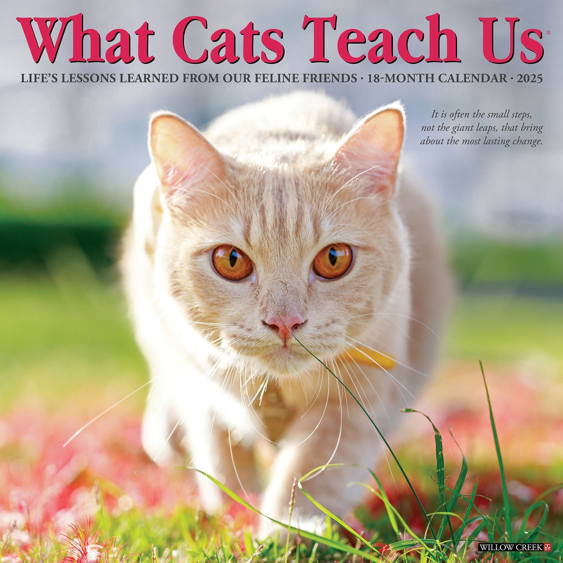 2025 What Cats Teach Us - Square Wall Calendar (US Only)