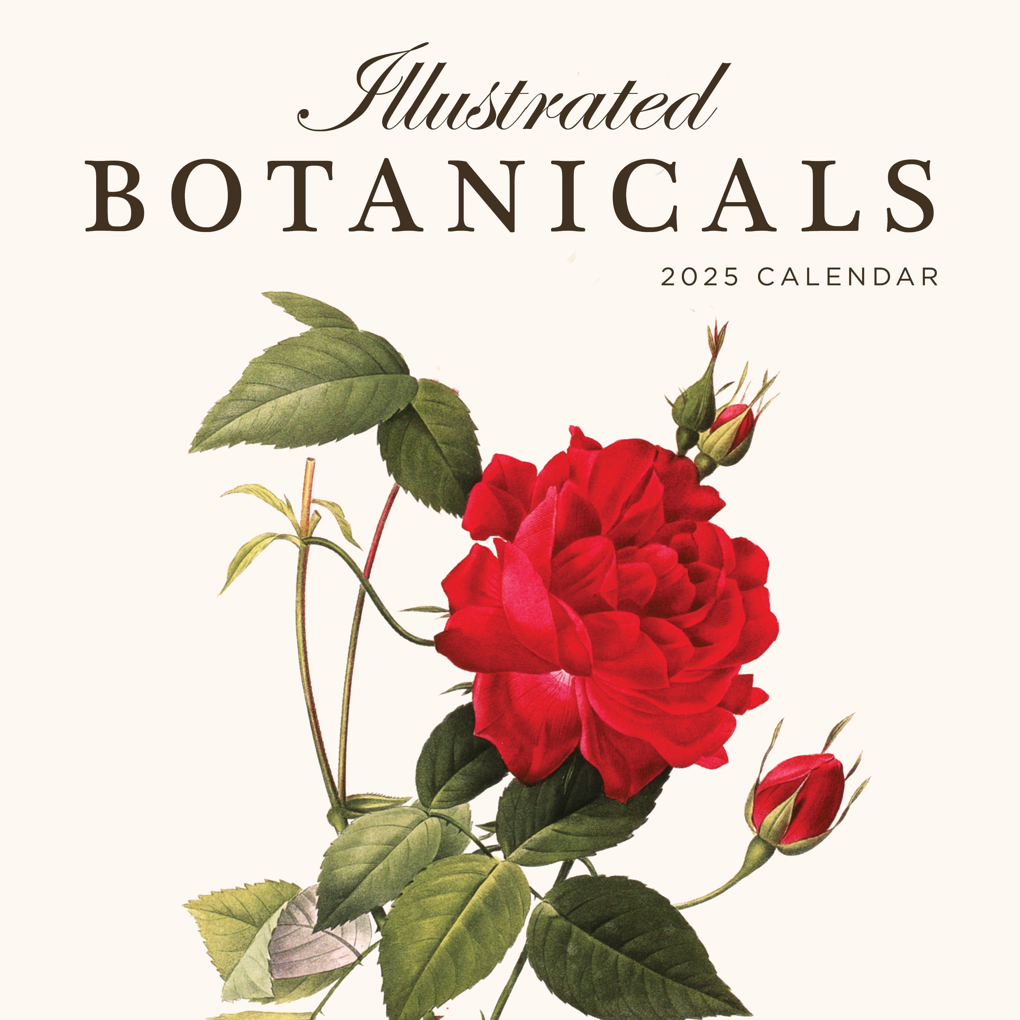 2025 Illustrated Botanicals - Square Wall Calendar