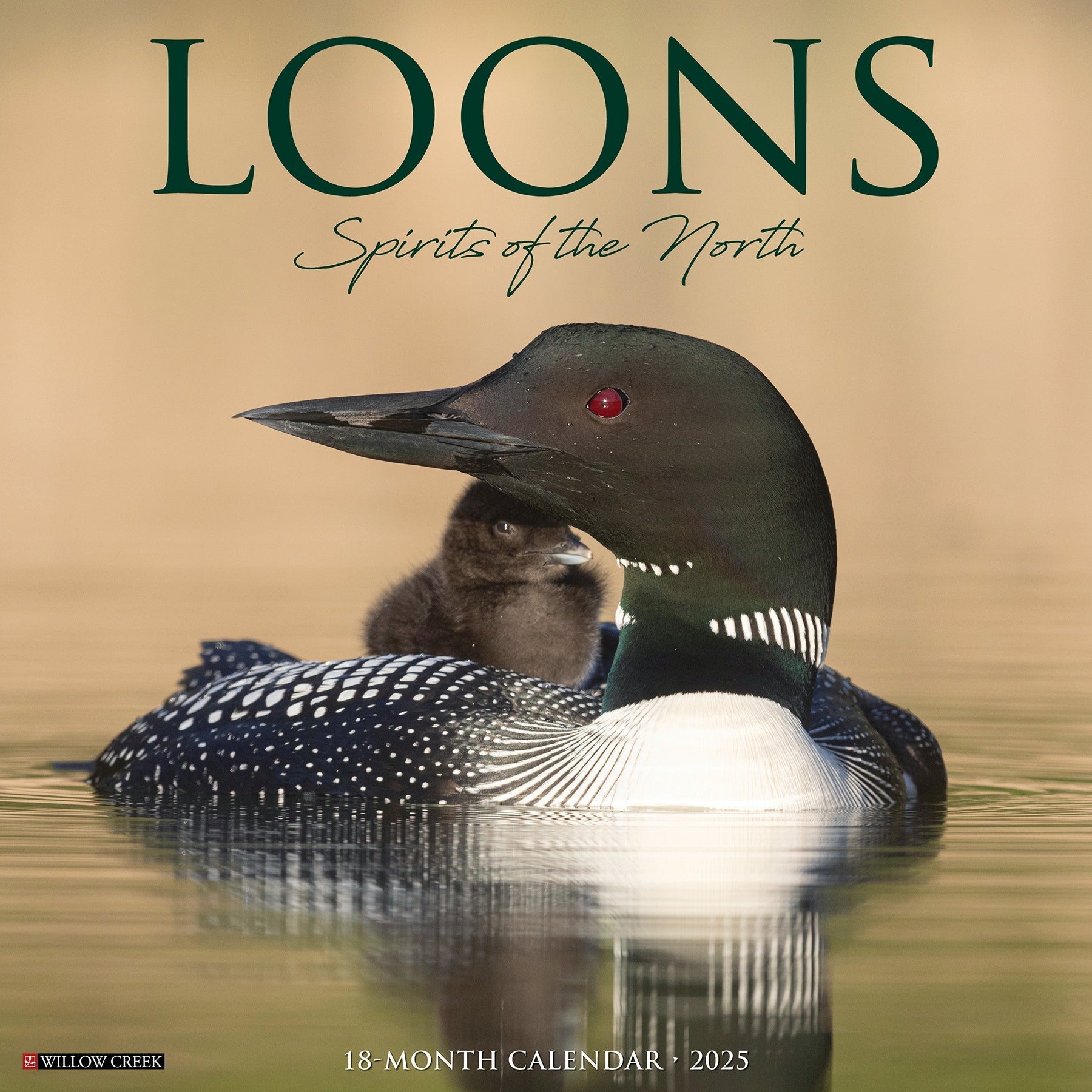 2025 Loons - Square Wall Calendar (US Only)