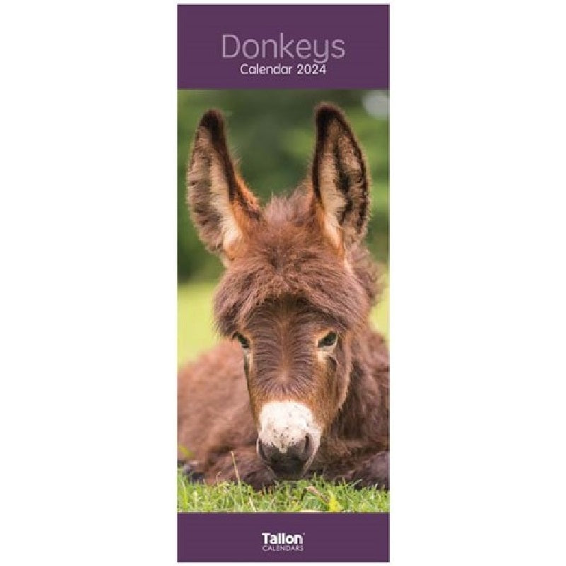 2024 Donkeys Super - Slim Wall Calendar