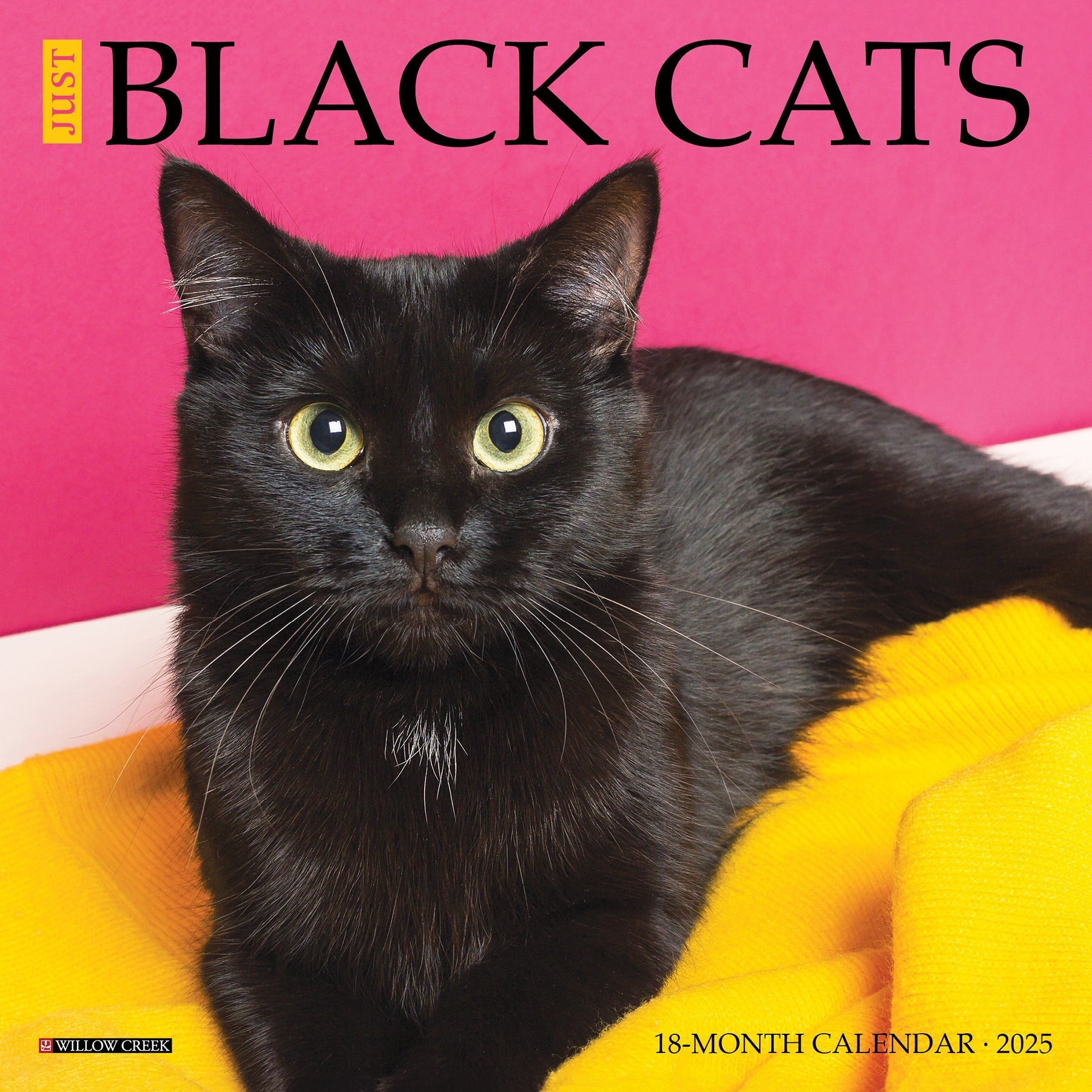 2025 Black Cats - Mini Wall Calendar (US Only)