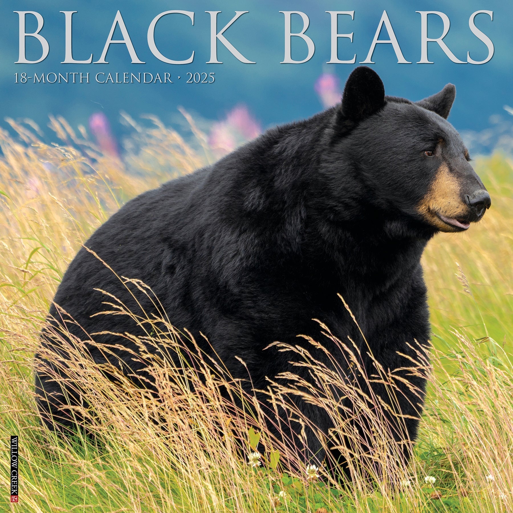 2025 Black Bears - Square Wall Calendar (US Only)