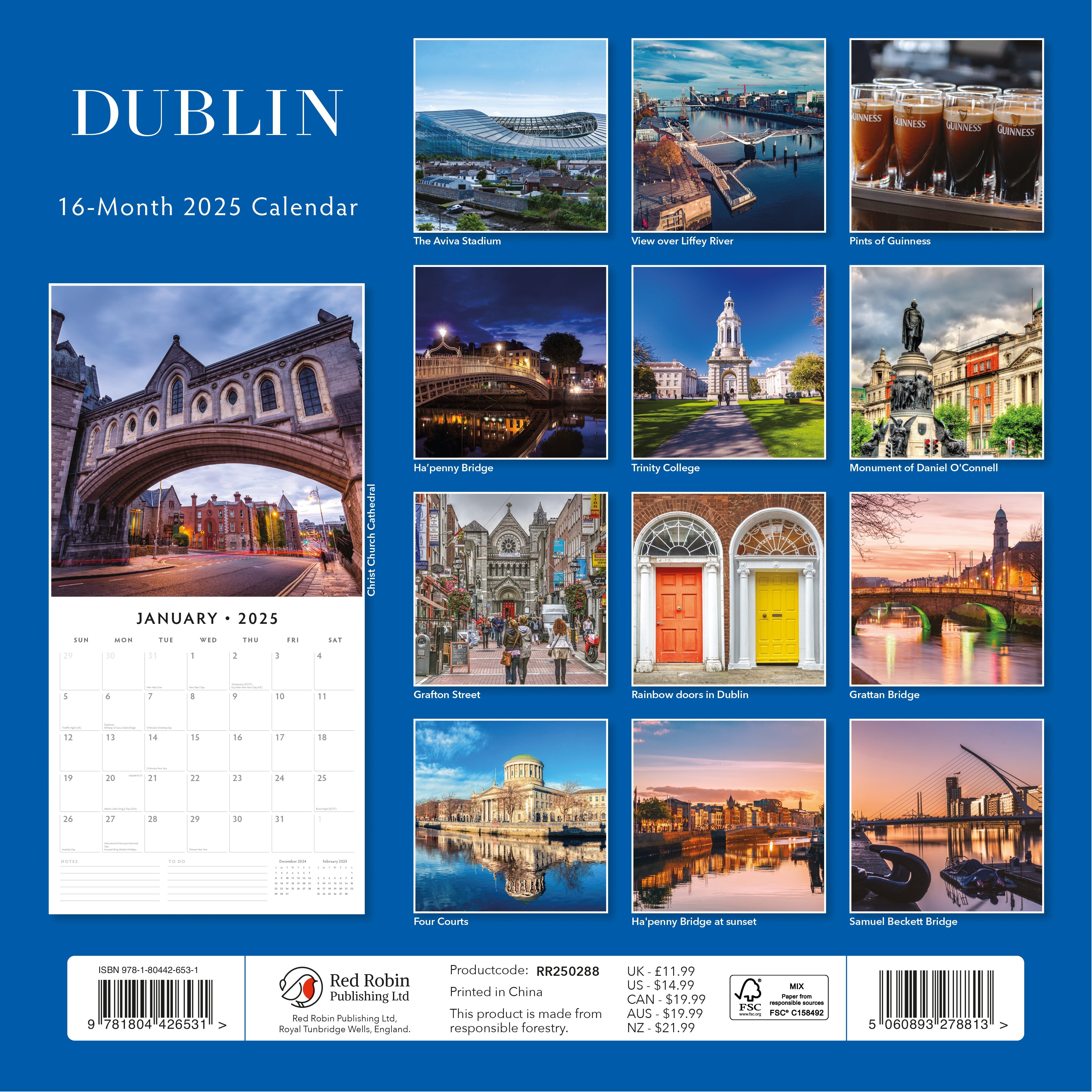 2025 Dublin - Square Wall Calendar