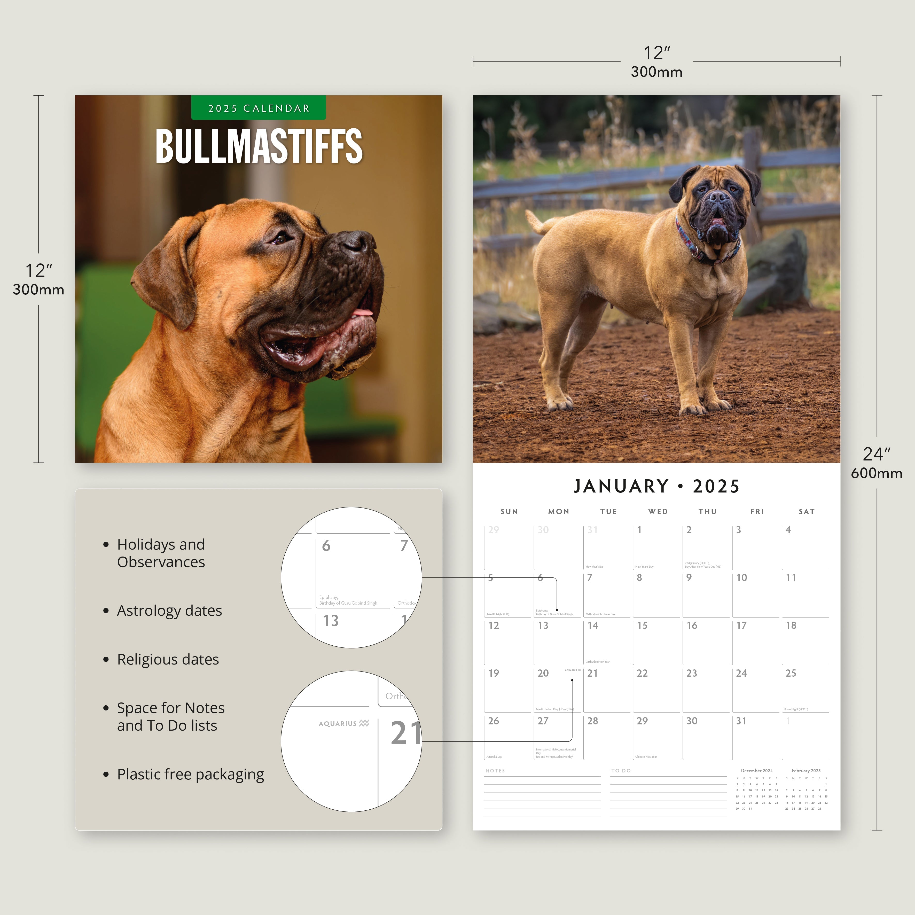 2025 Bullmastiffs - Square Wall Calendar