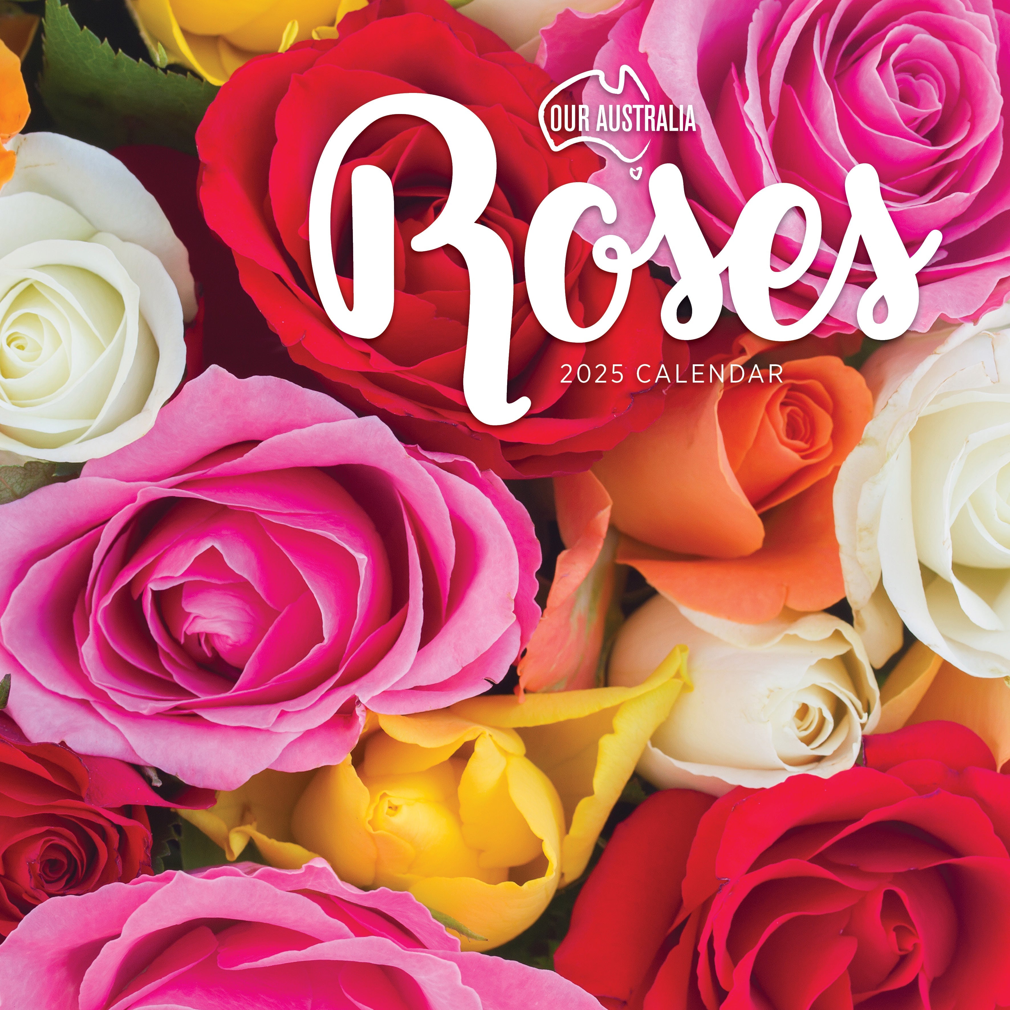 2025 Our Australia Roses - Square Wall Calendar