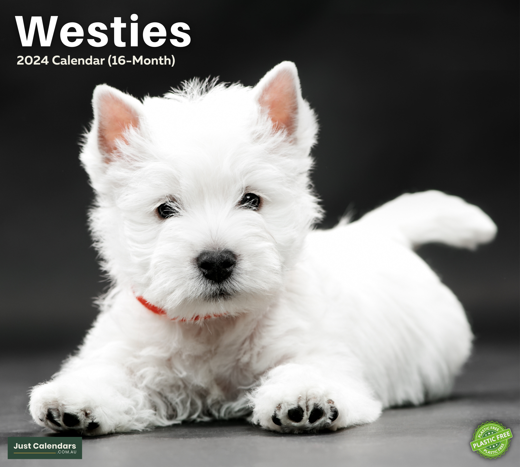 2024 Westies Dogs & Puppies - Deluxe Wall Calendar by Just Calendars - 16 Month - Plastic Free