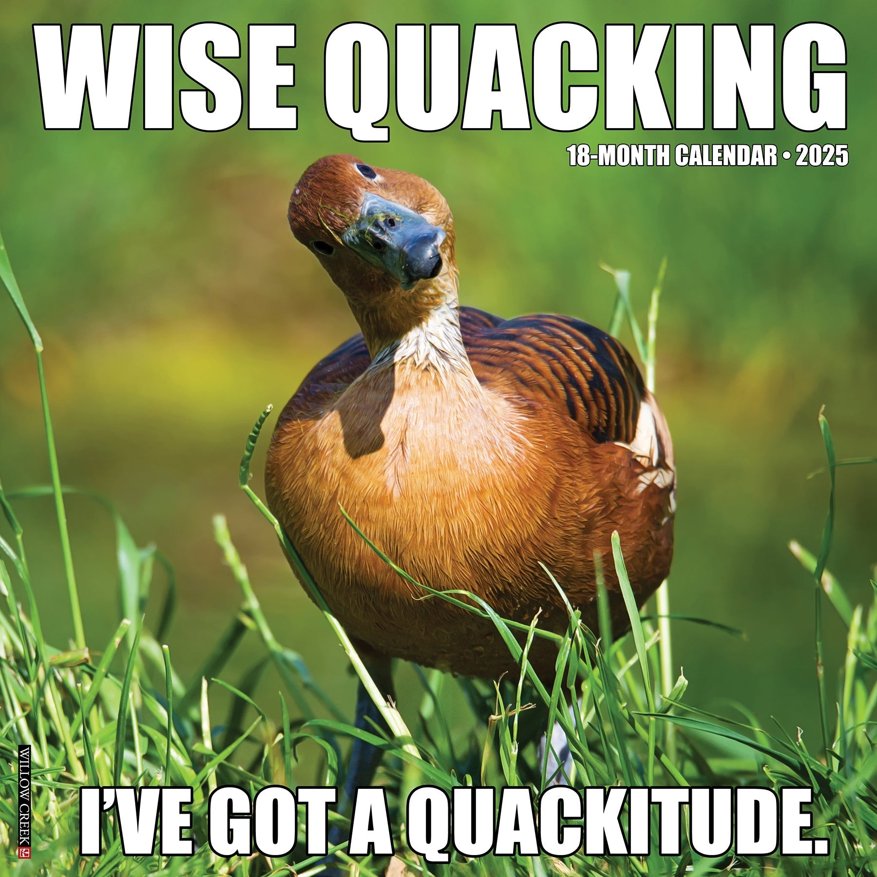 2025 Wise Quacking - Square Wall Calendar (US Only)