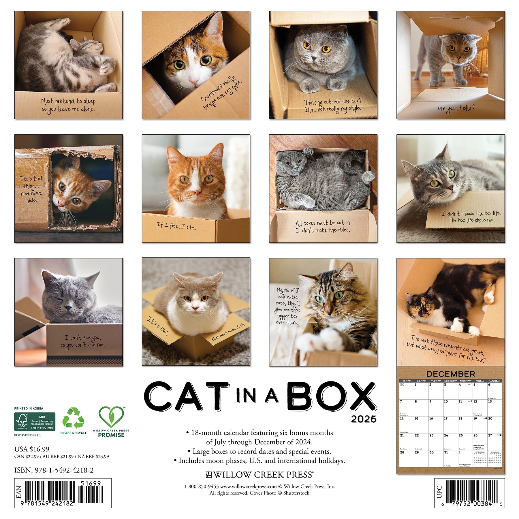 2025 Cat in a Box - Square Wall Calendar (US Only)