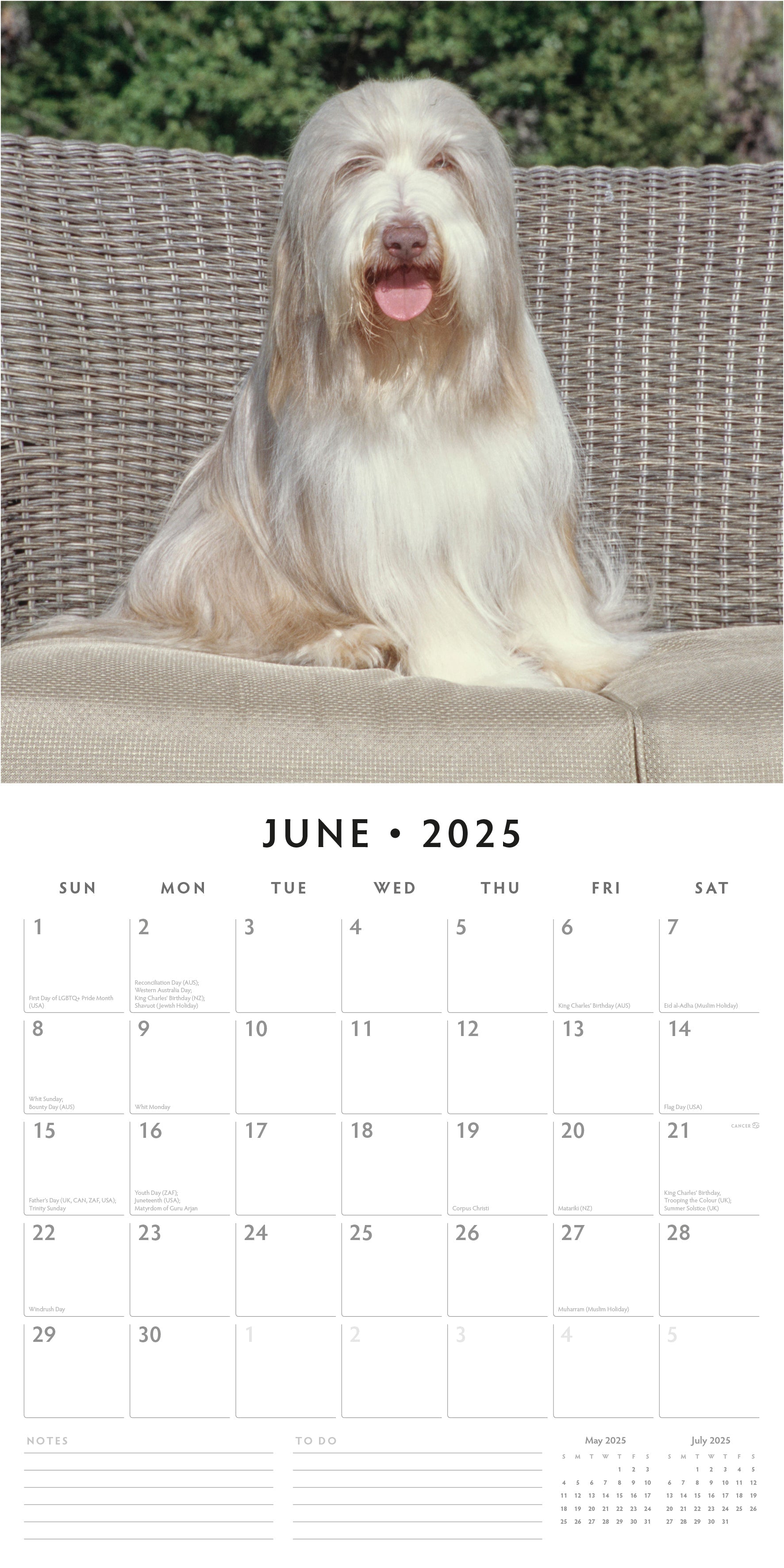 2025 Bearded Collies - Square Wall Calendar