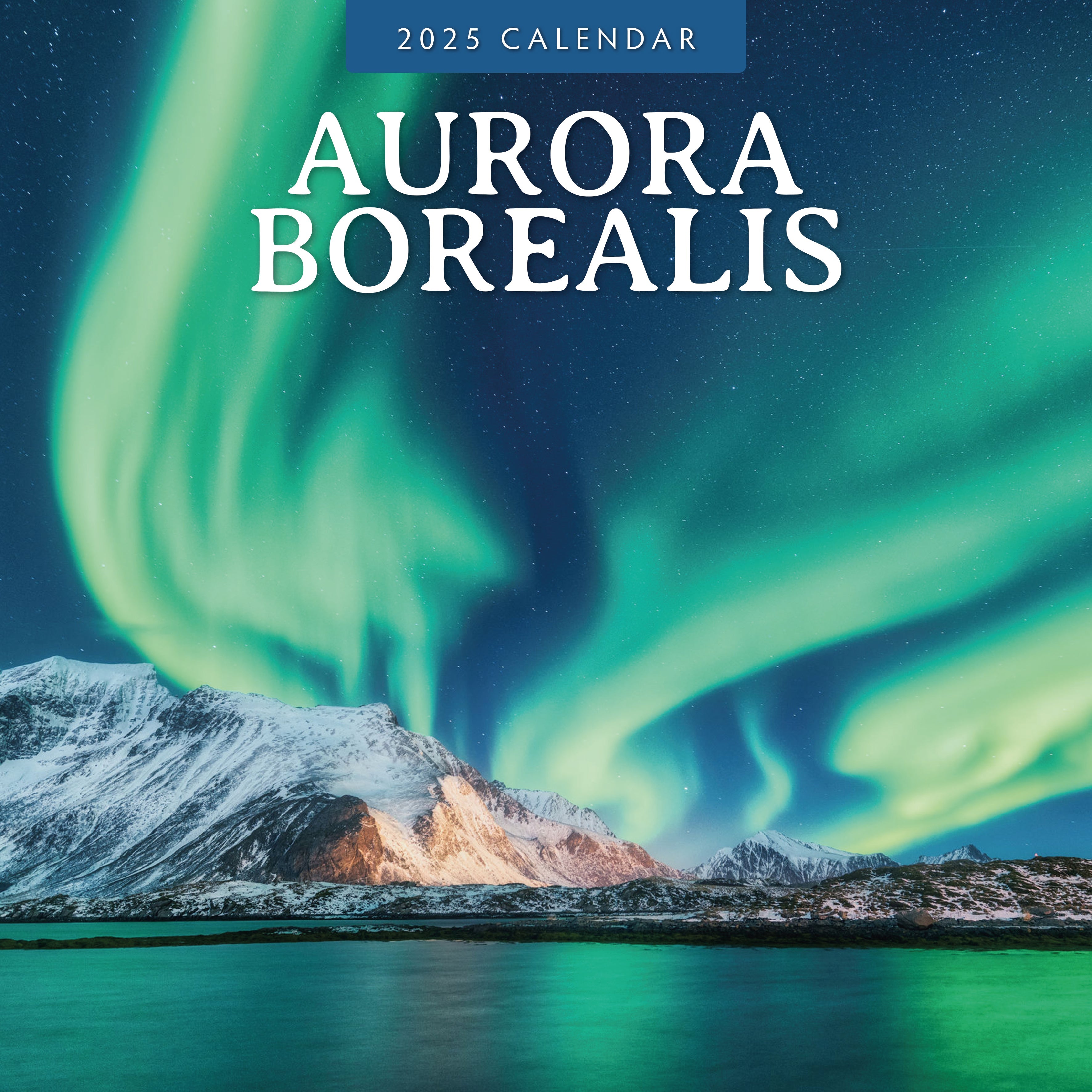 2025 Aurora Borealis - Square Wall Calendar