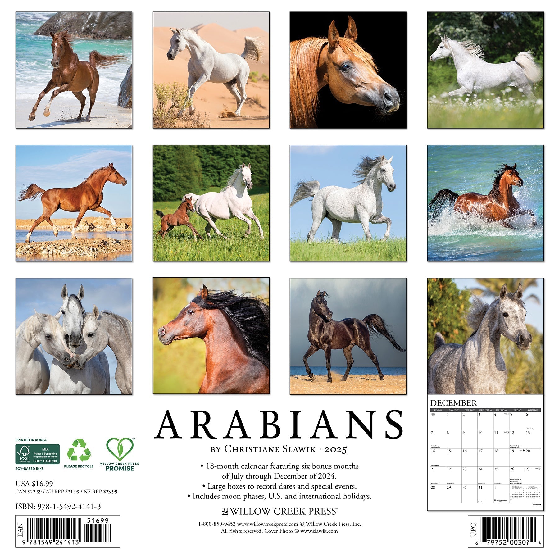 2025 Arabians - Square Wall Calendar (US Only)