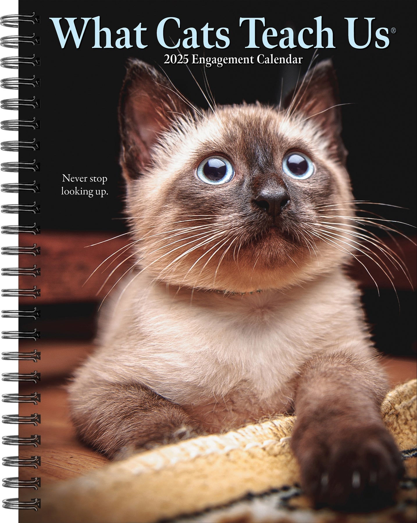 2025 What Cats Teach Us - Weekly Diary/Planner (US Only)