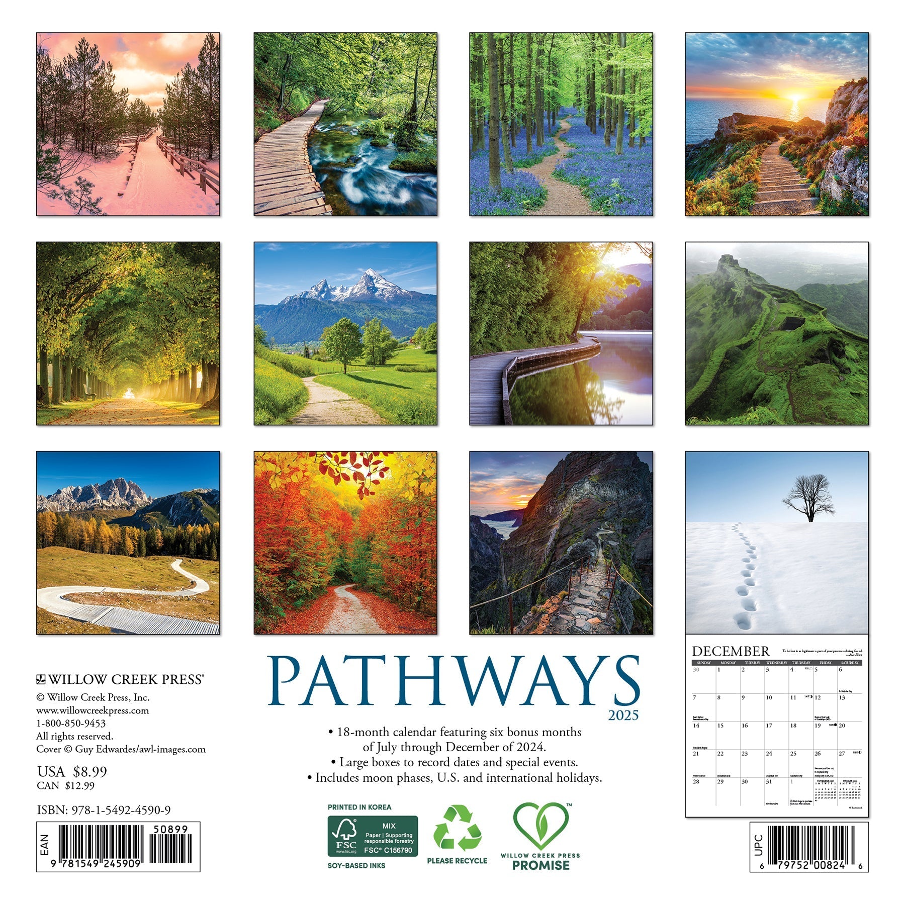 2025 Pathways - Mini Wall Calendar (US Only)