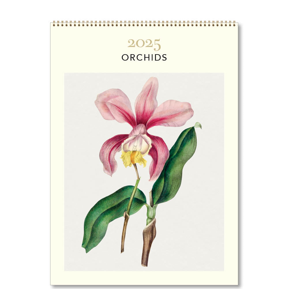 2025 Orchids - Deluxe Wall Calendar
