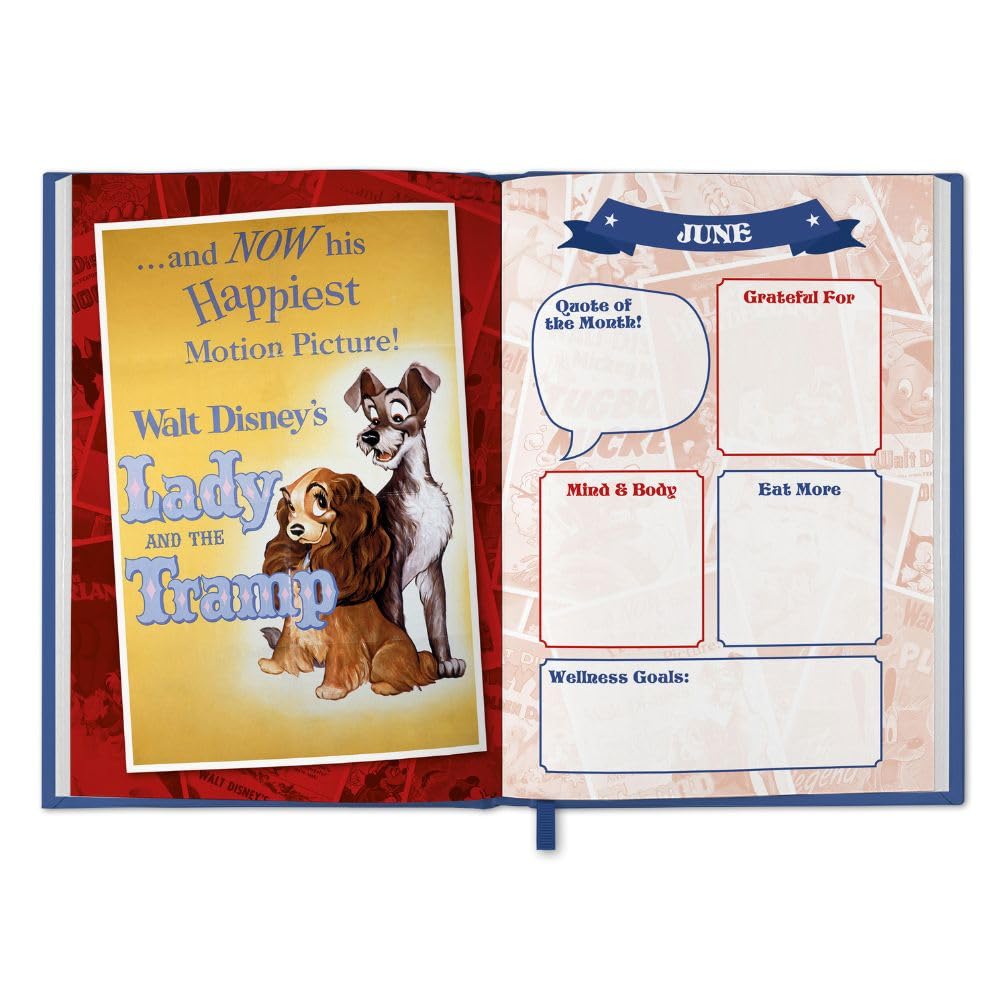 2025 Disney Vintage Posters - Calendar & Diary Gift Box Set