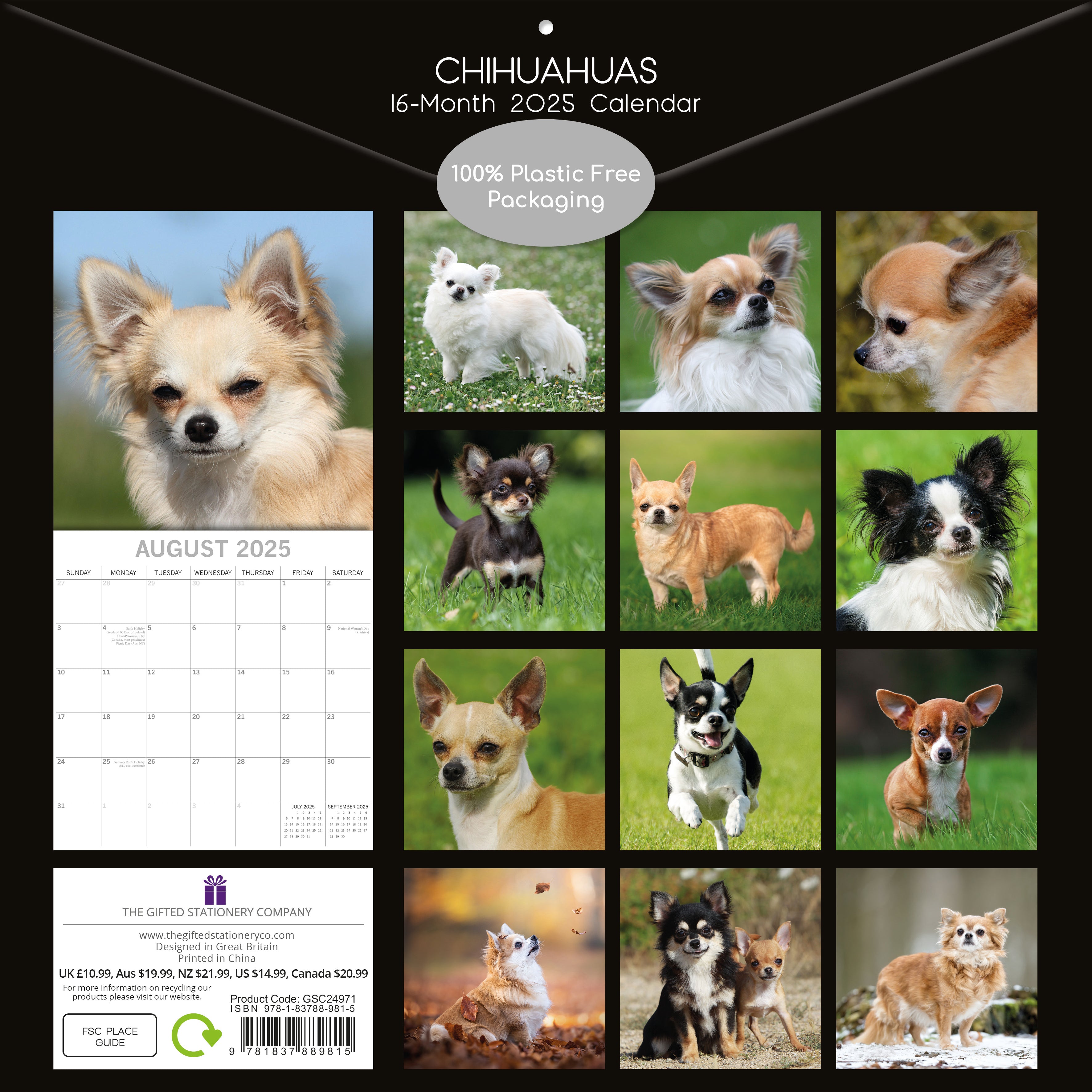 2025 Chihuahuas - Square Wall Calendar