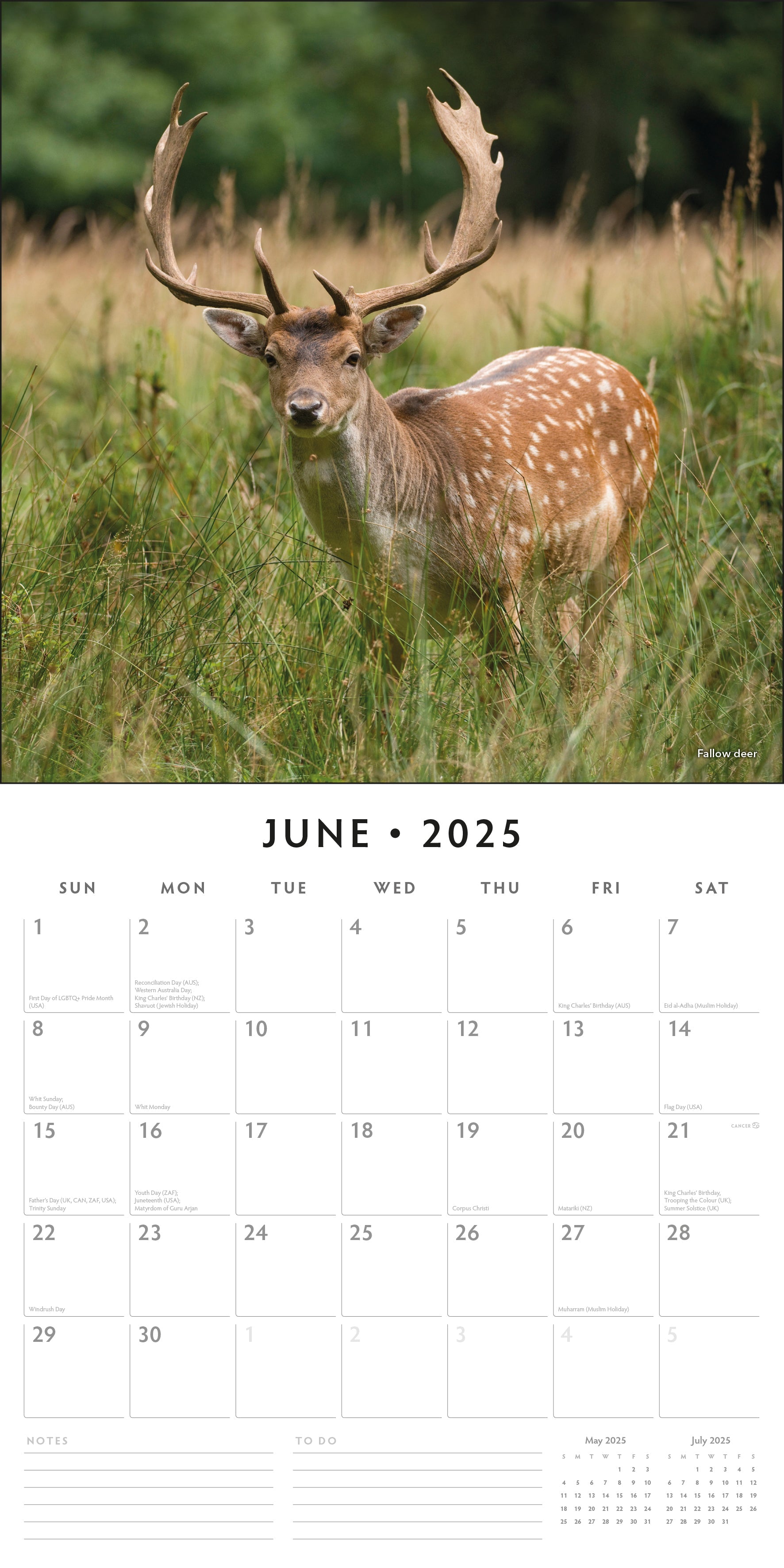 2025 Country Wildlife - Square Wall Calendar