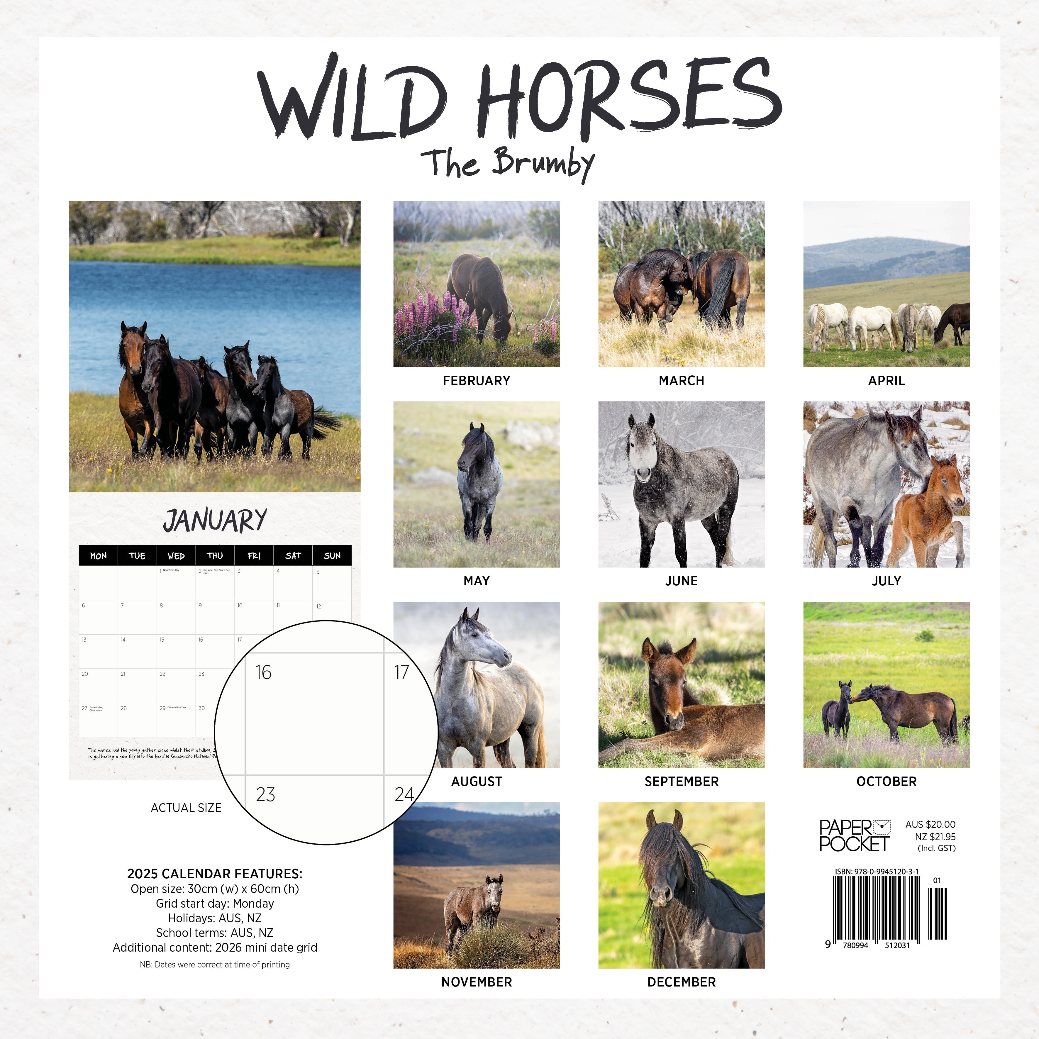 2025 Wild Horses (The Brumby) - Square Wall Calendar