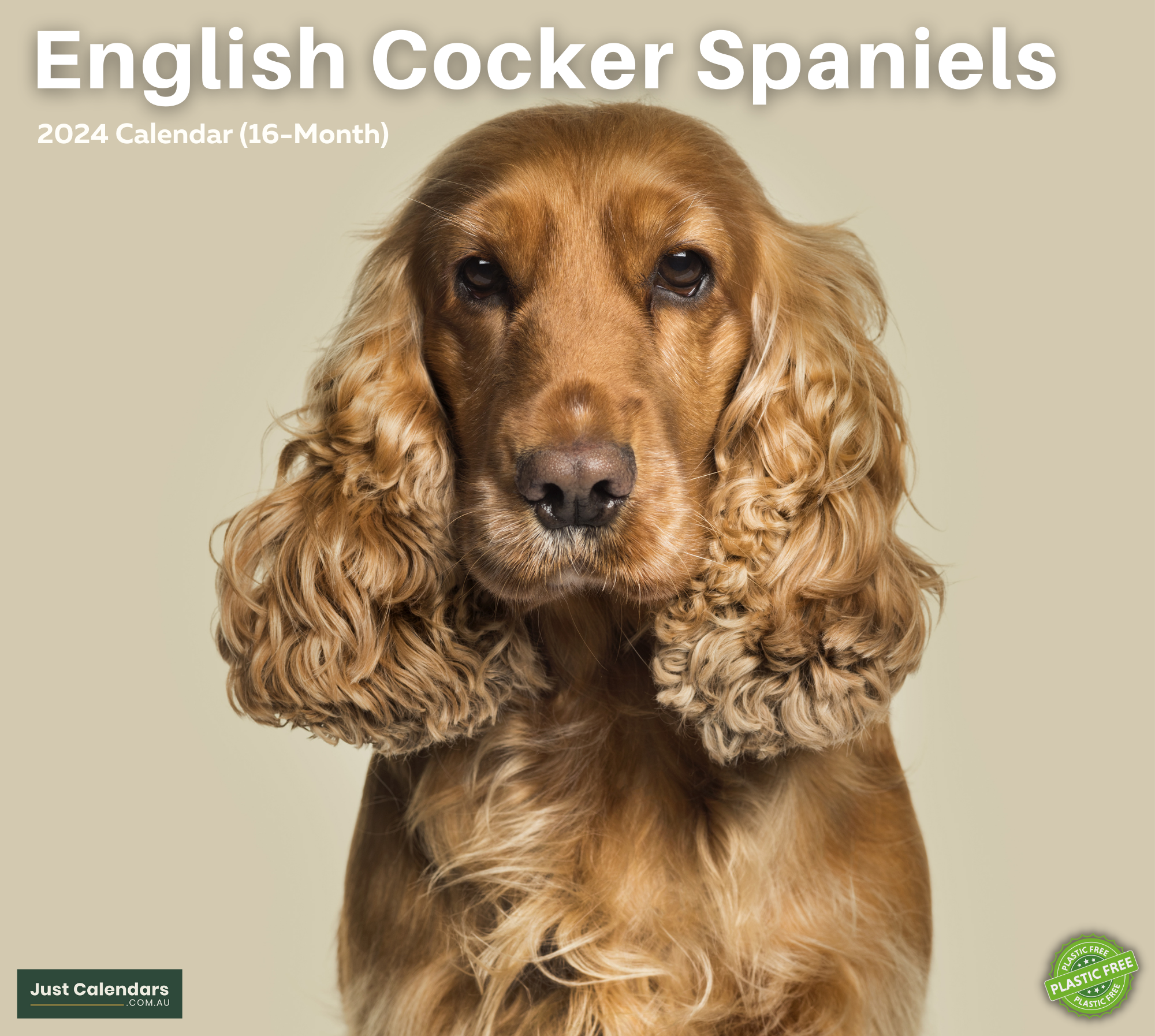 2024 English Cocker Spaniels Dogs & Puppies - Deluxe Wall Calendar by Just Calendars - 16 Month - Plastic Free