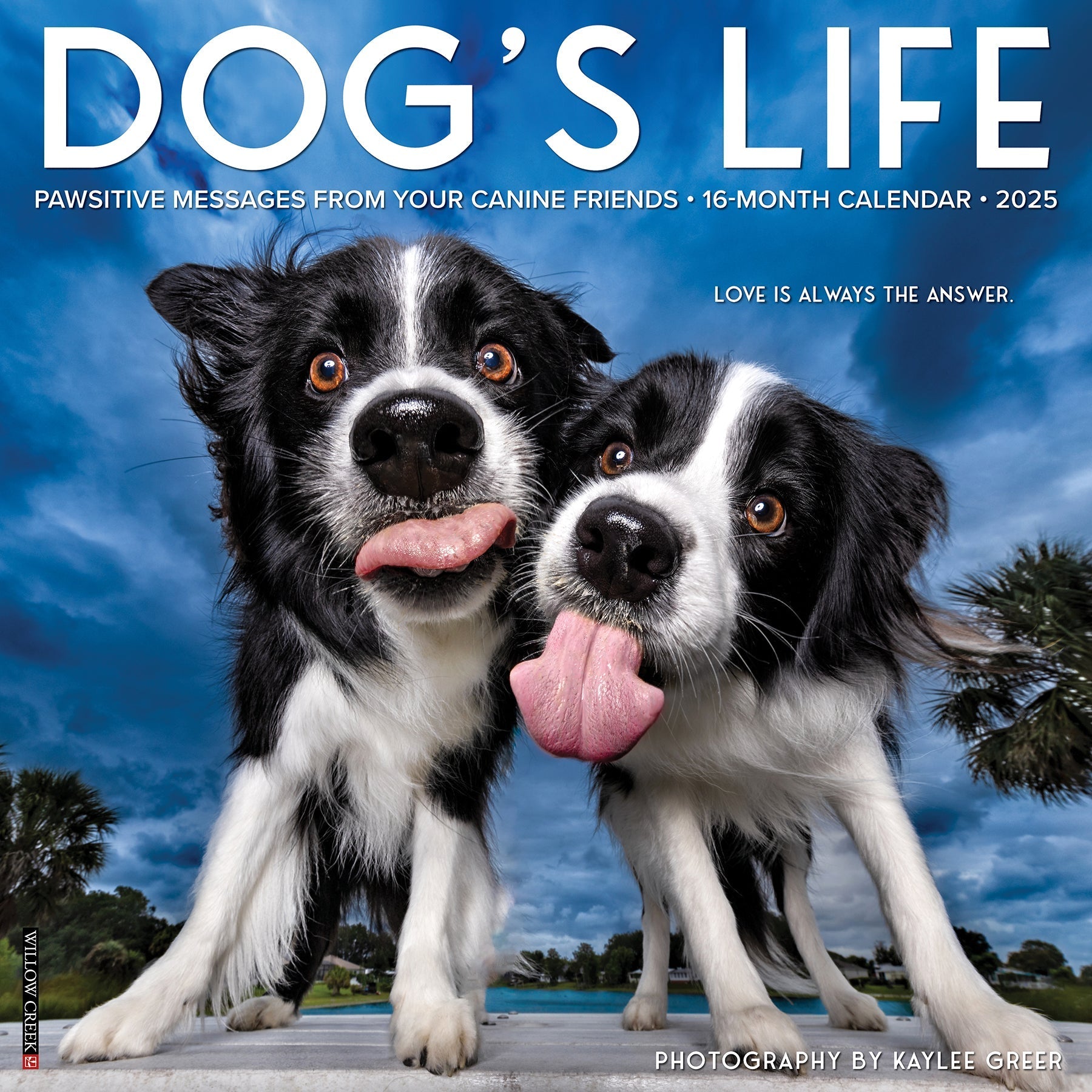 2025 Dog's Life - Square Wall Calendar (US Only)