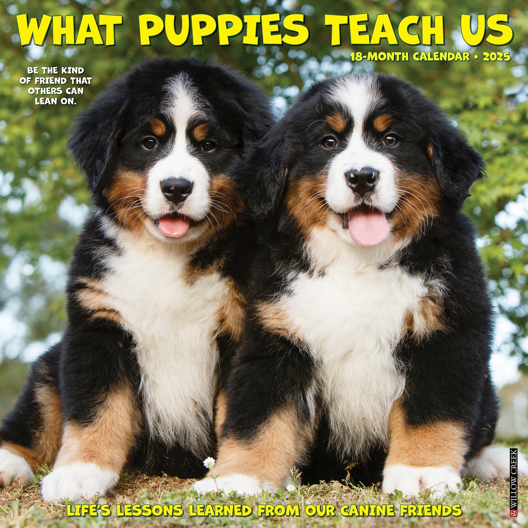 2025 What Puppies Teach Us - Square Wall Calendar (US Only)