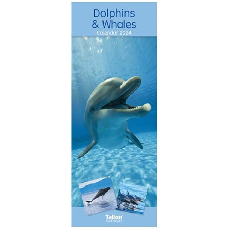 2024 Dolphins & Whales Super - Slim Wall Calendar  SOLD OUT