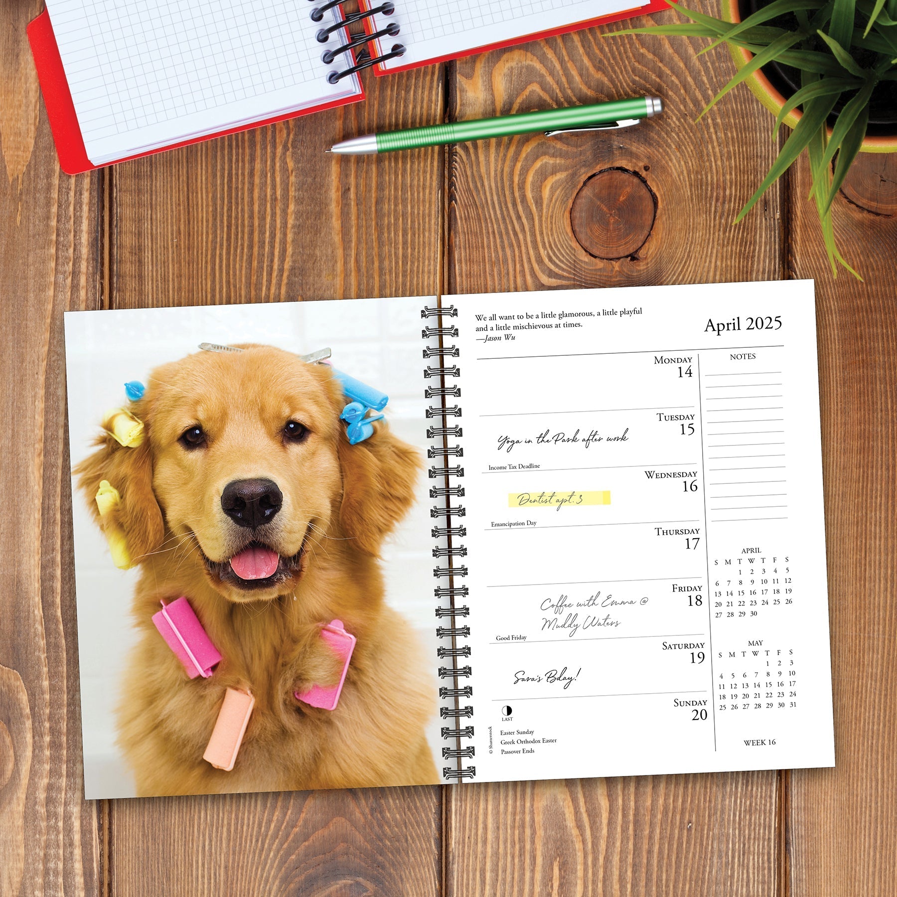 2025 What Goldens Teach Us - Weekly Diary/Planner (US Only)