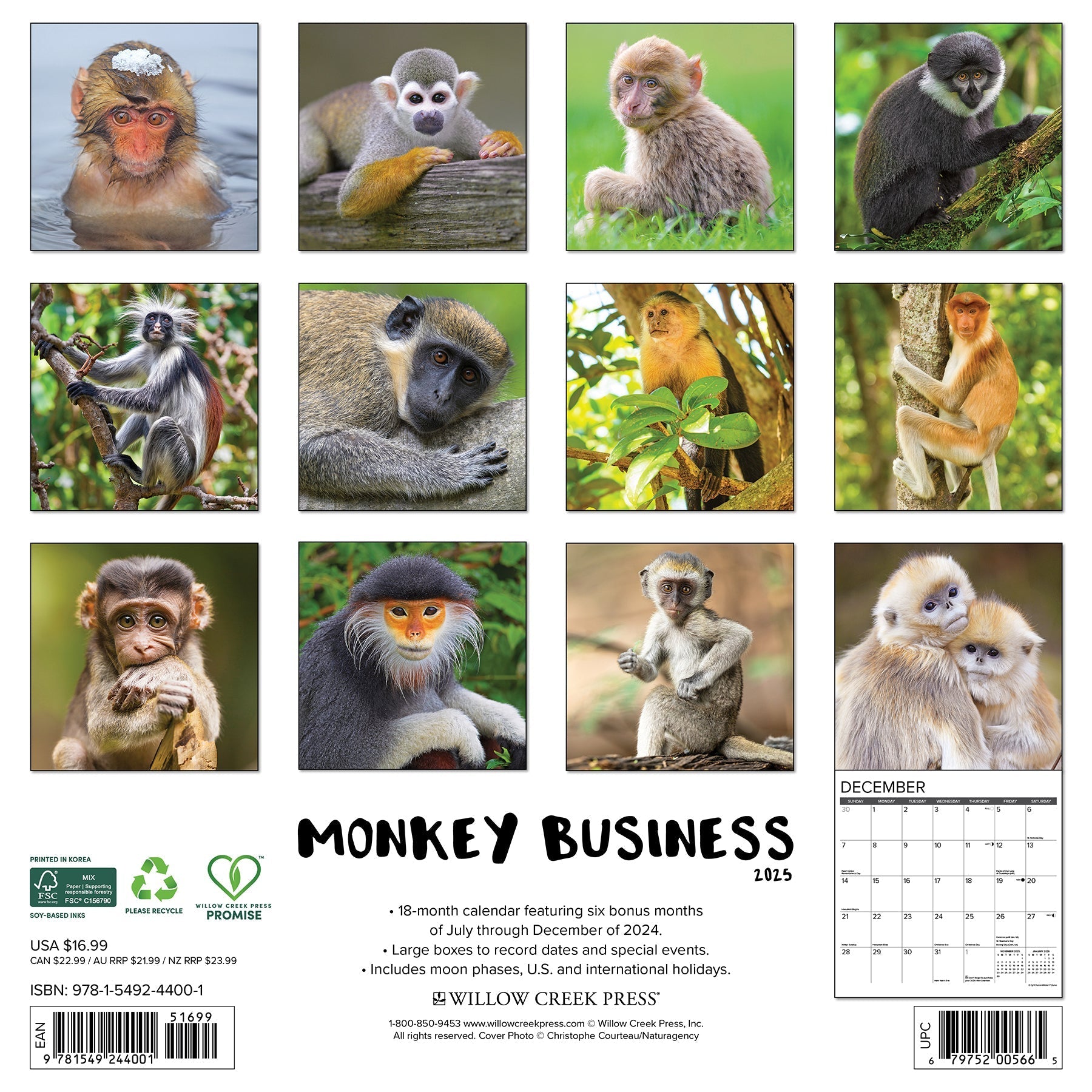 2025 Monkey Business - Square Wall Calendar (US Only)