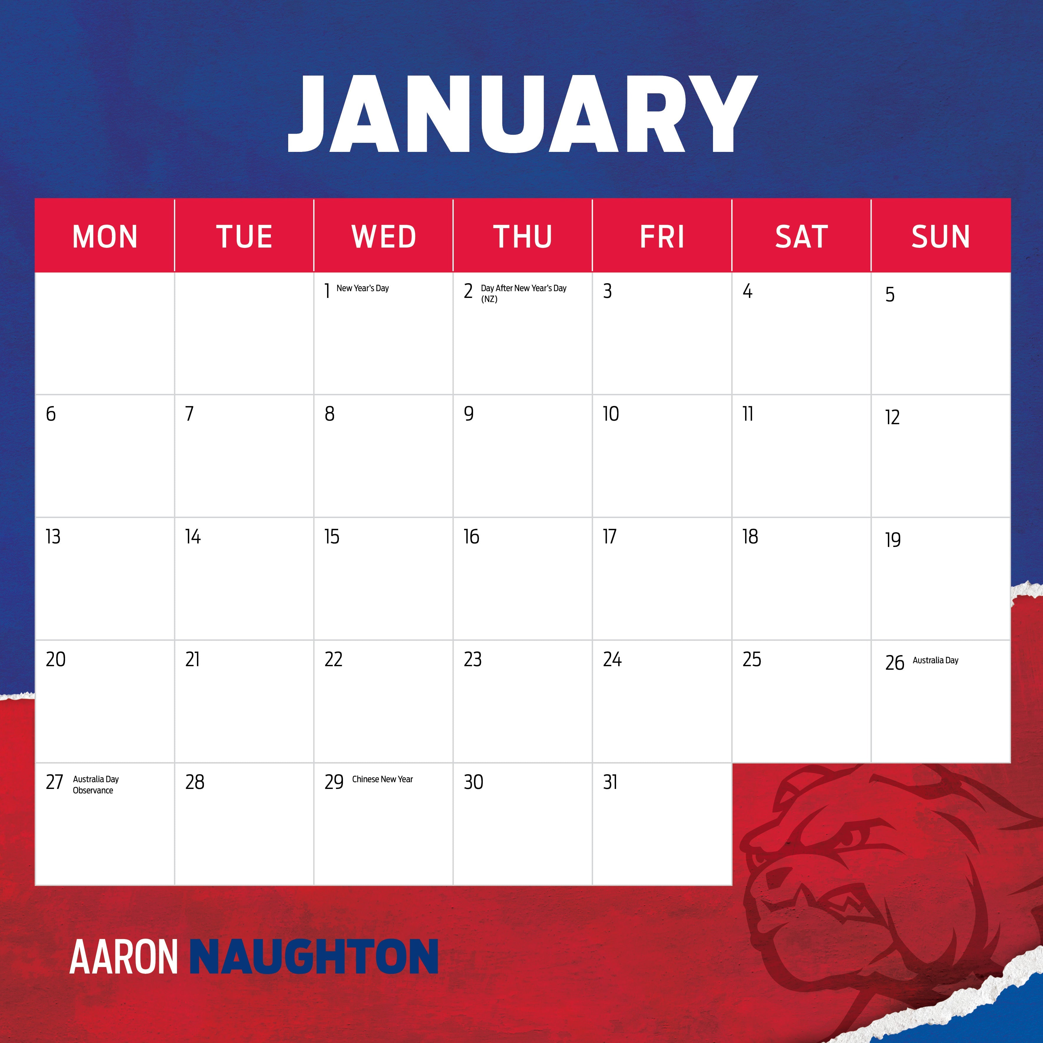 2025 AFL Western Bulldogs - Square Wall Calendar