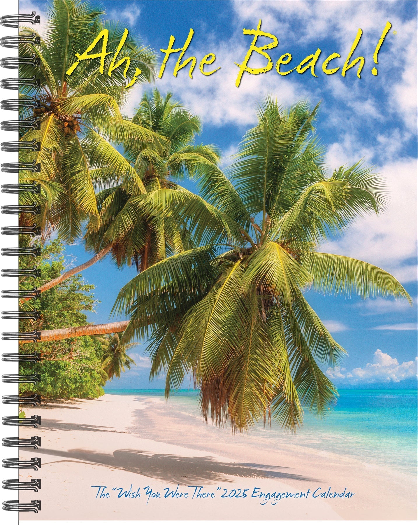 2025 Ah, The Beach! - Weekly Diary/Planner (US Only)