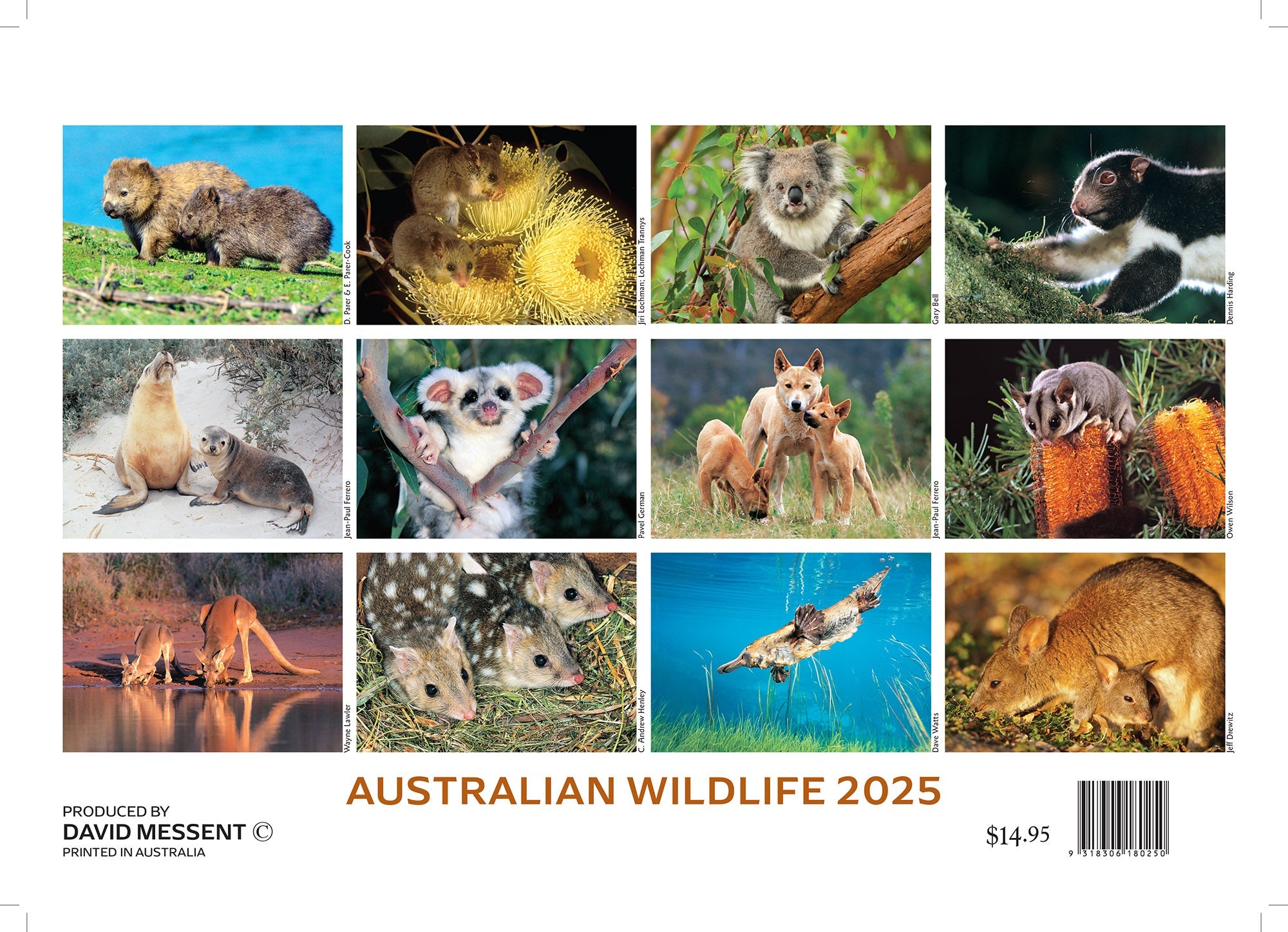2025 Australian Wildlife By David Messent - Horizontal Wall Calendar