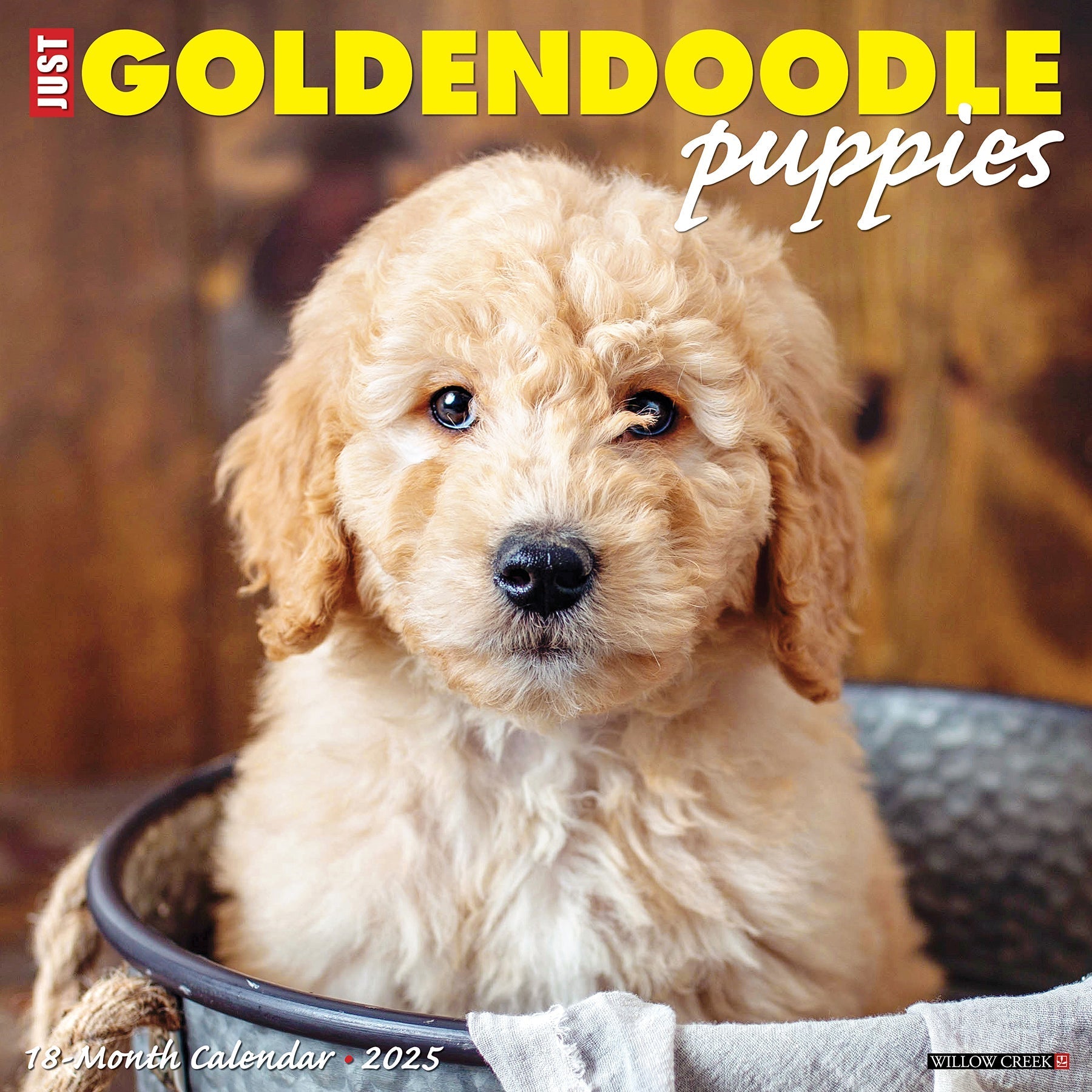 2025 Goldendoodle Puppies - Square Wall Calendar (US Only)