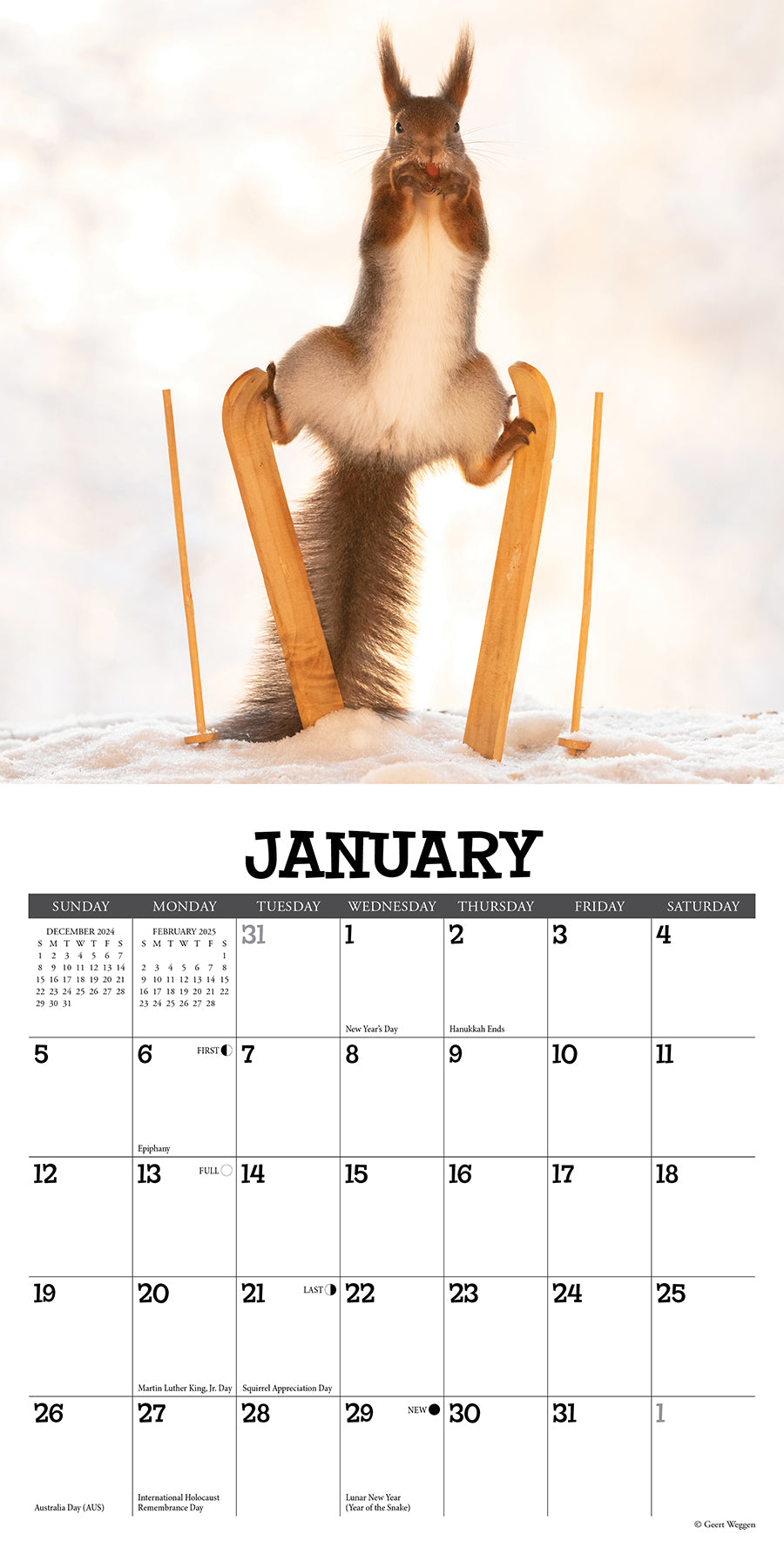 2025 Gettin' Squirrelly - Mini Wall Calendar (US Only)