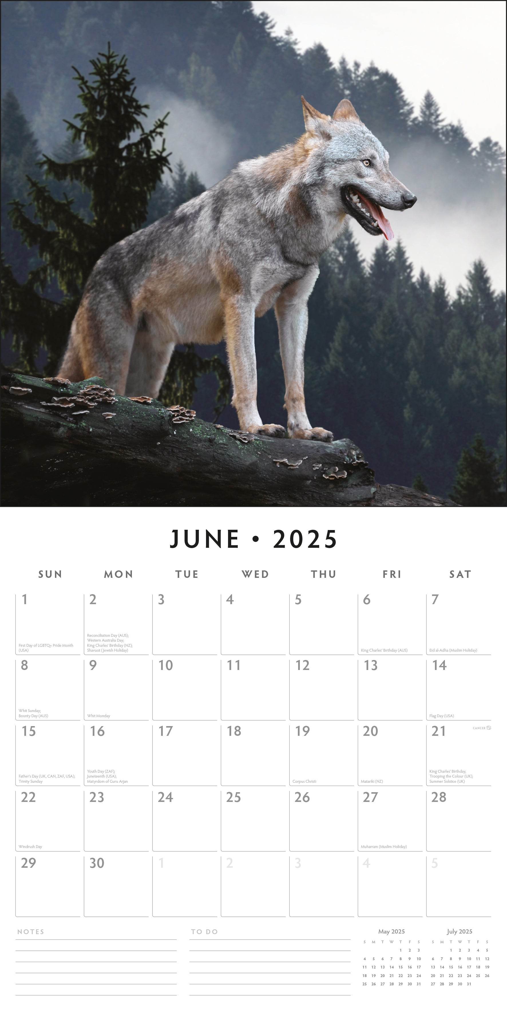 2025 Wolves - Square Wall Calendar