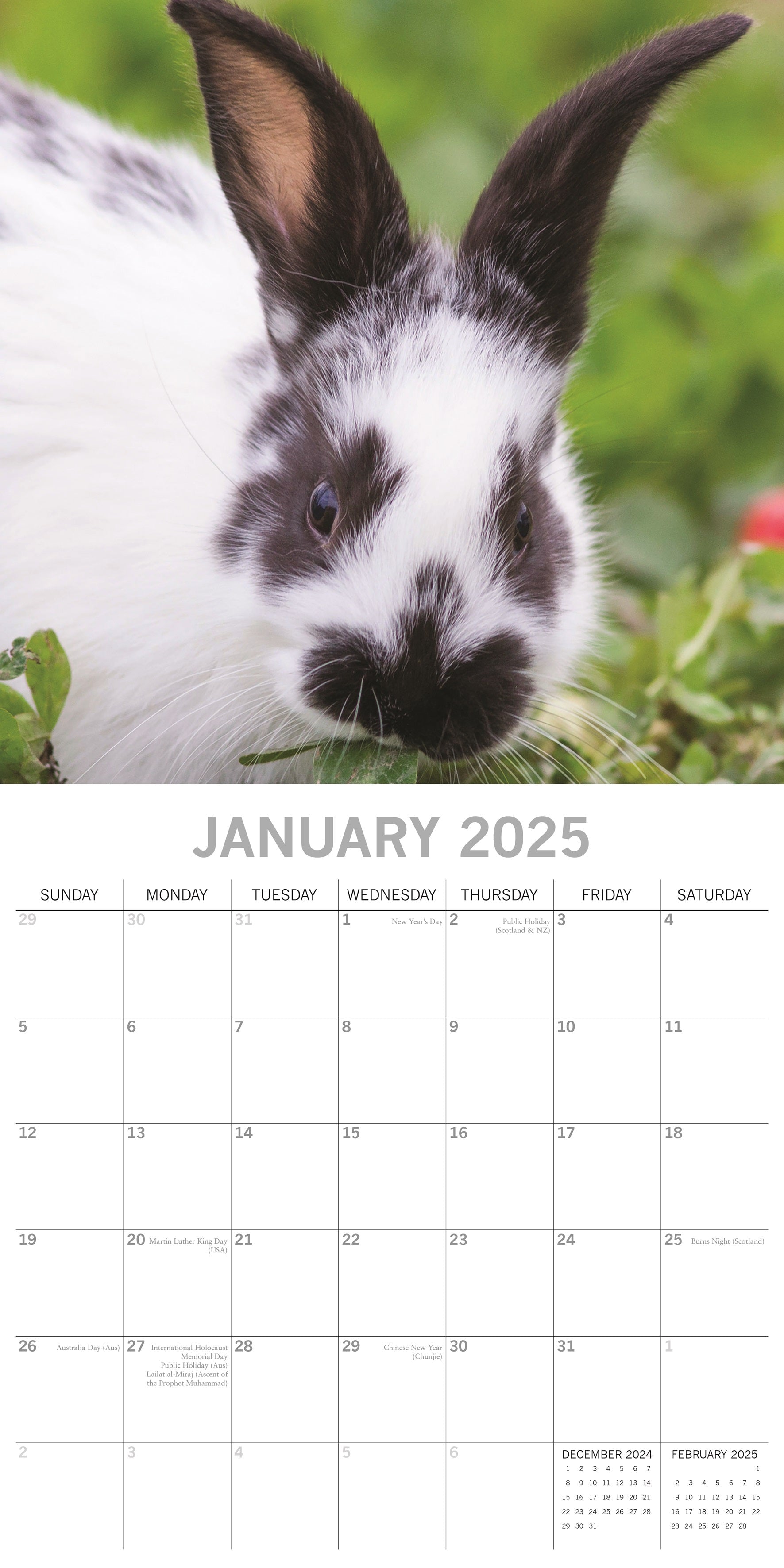 2025 Cute Bunnies - Square Wall Calendar