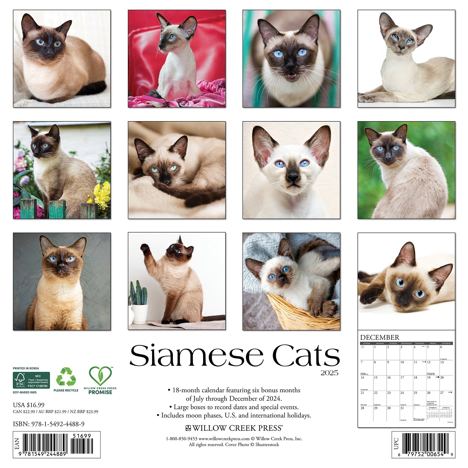 2025 Siamese Cats - Square Wall Calendar (US Only)