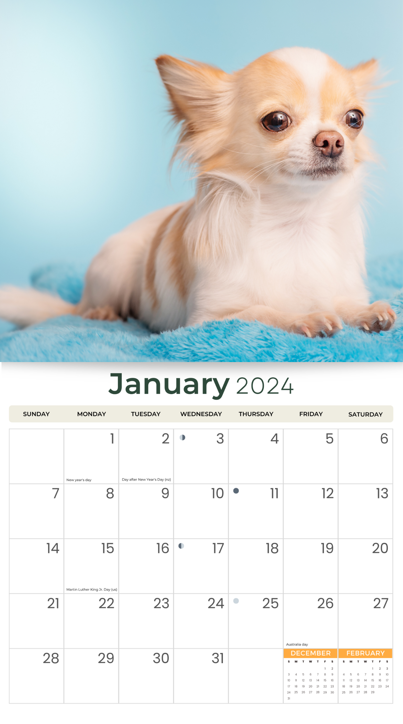 2024 Chihuahuas Dogs & Puppies - Deluxe Wall Calendar by Just Calendars - 16 Month - Plastic Free