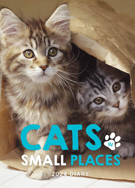2024 Cats In Small Places - Bi-Weekly Diary/Planner