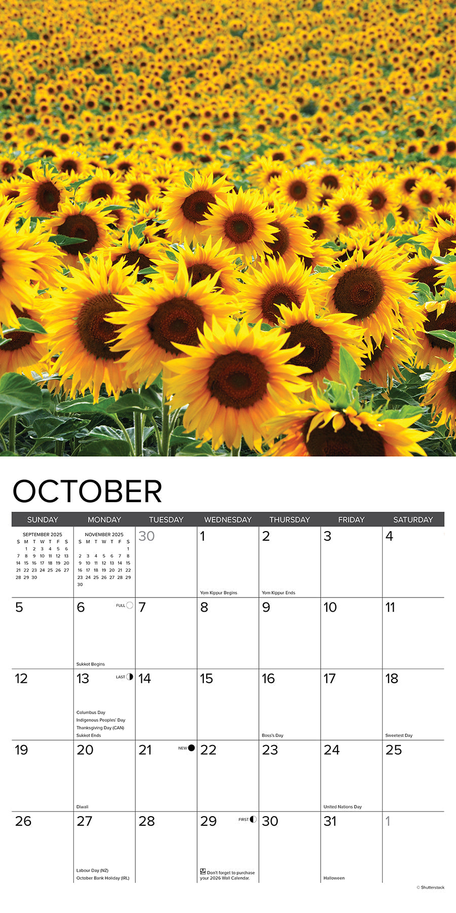 2025 Sunflowers - Square Wall Calendar (US Only)