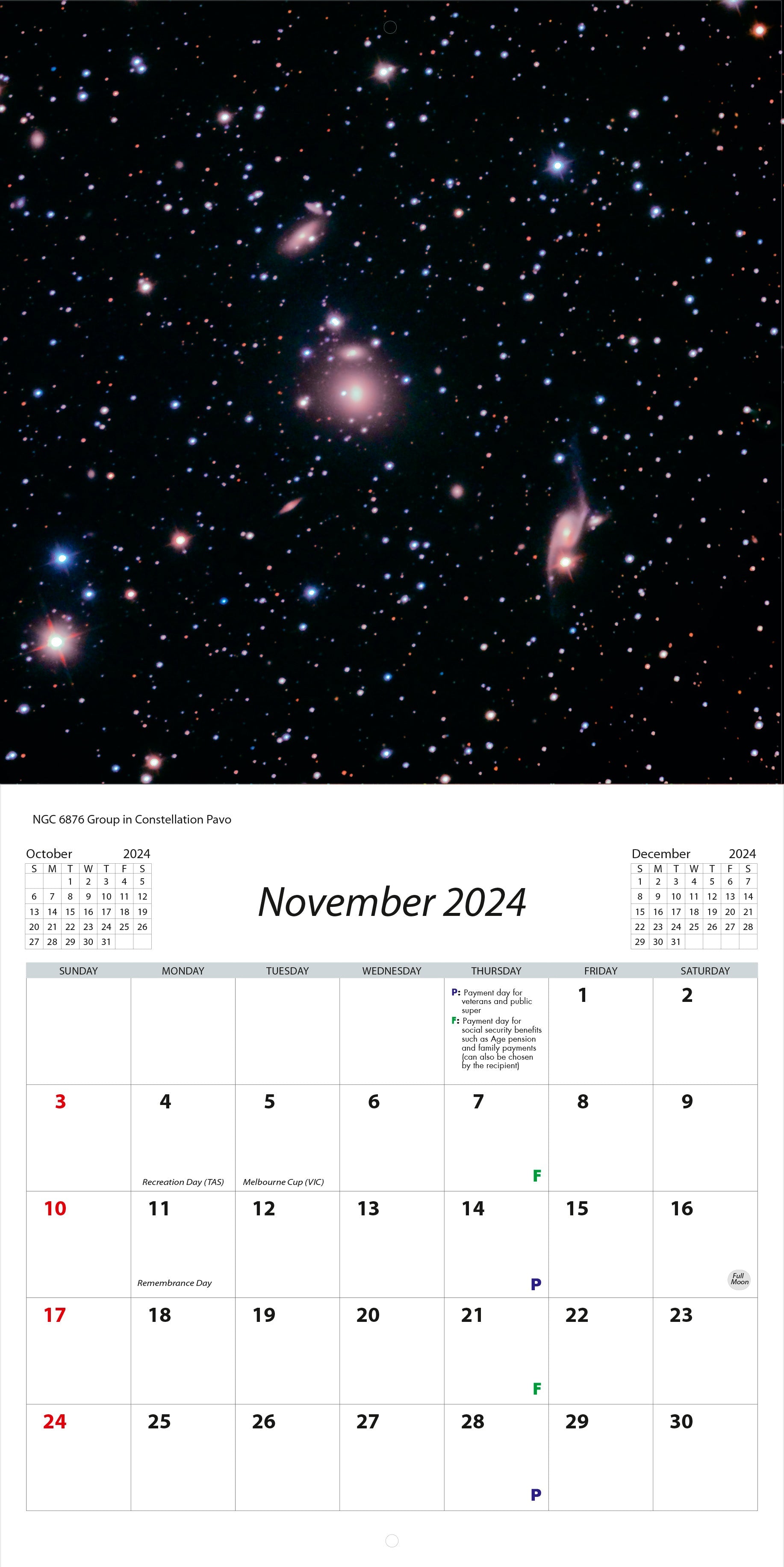 2024 Under The Southern Skies - Square Wall Calendar