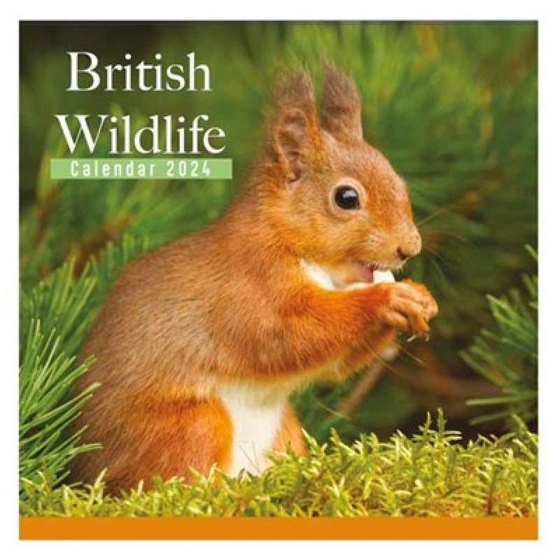 2024 British Wildlife Square Wall Calendar
