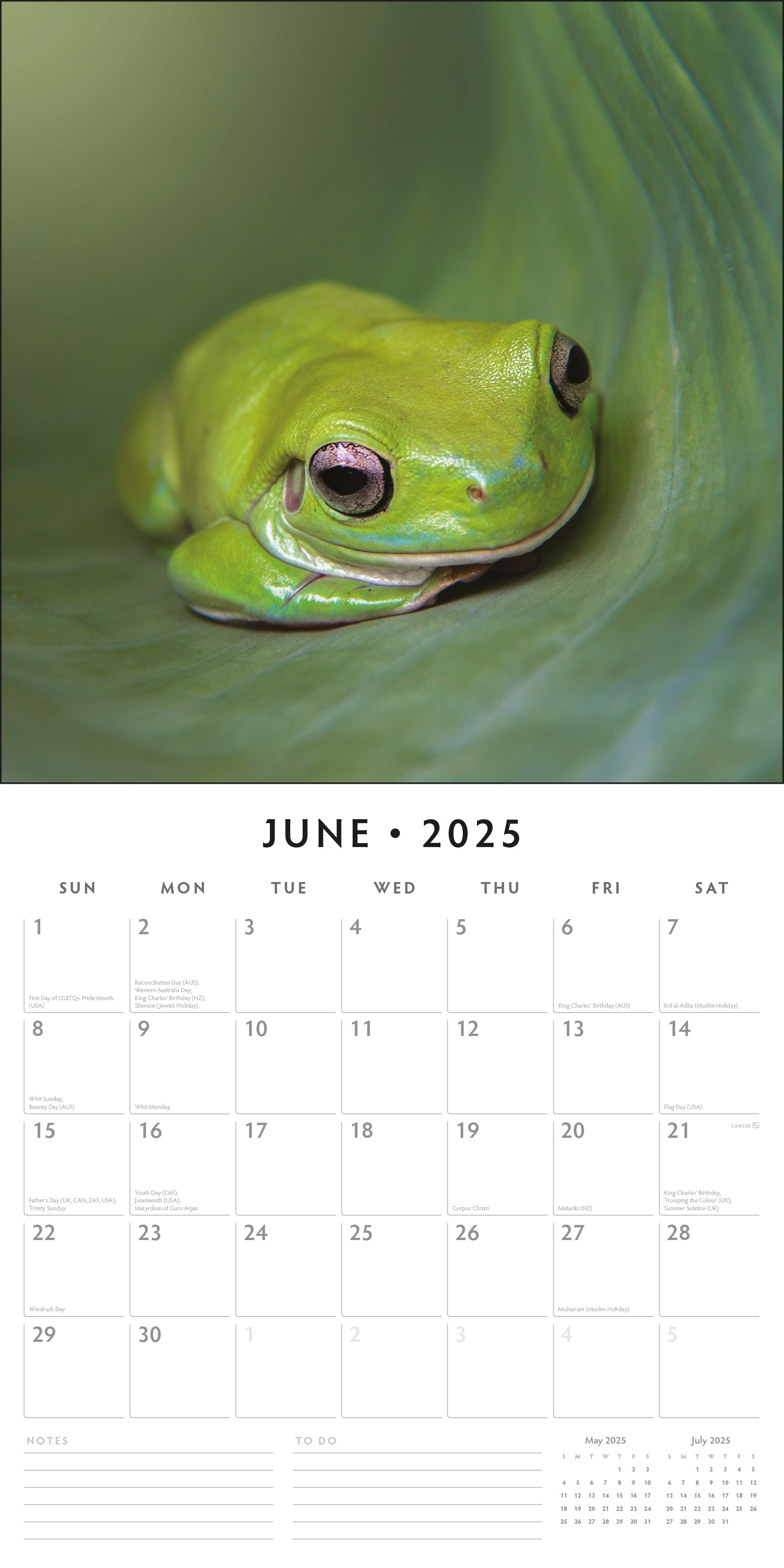 2025 Frogs - Square Wall Calendar