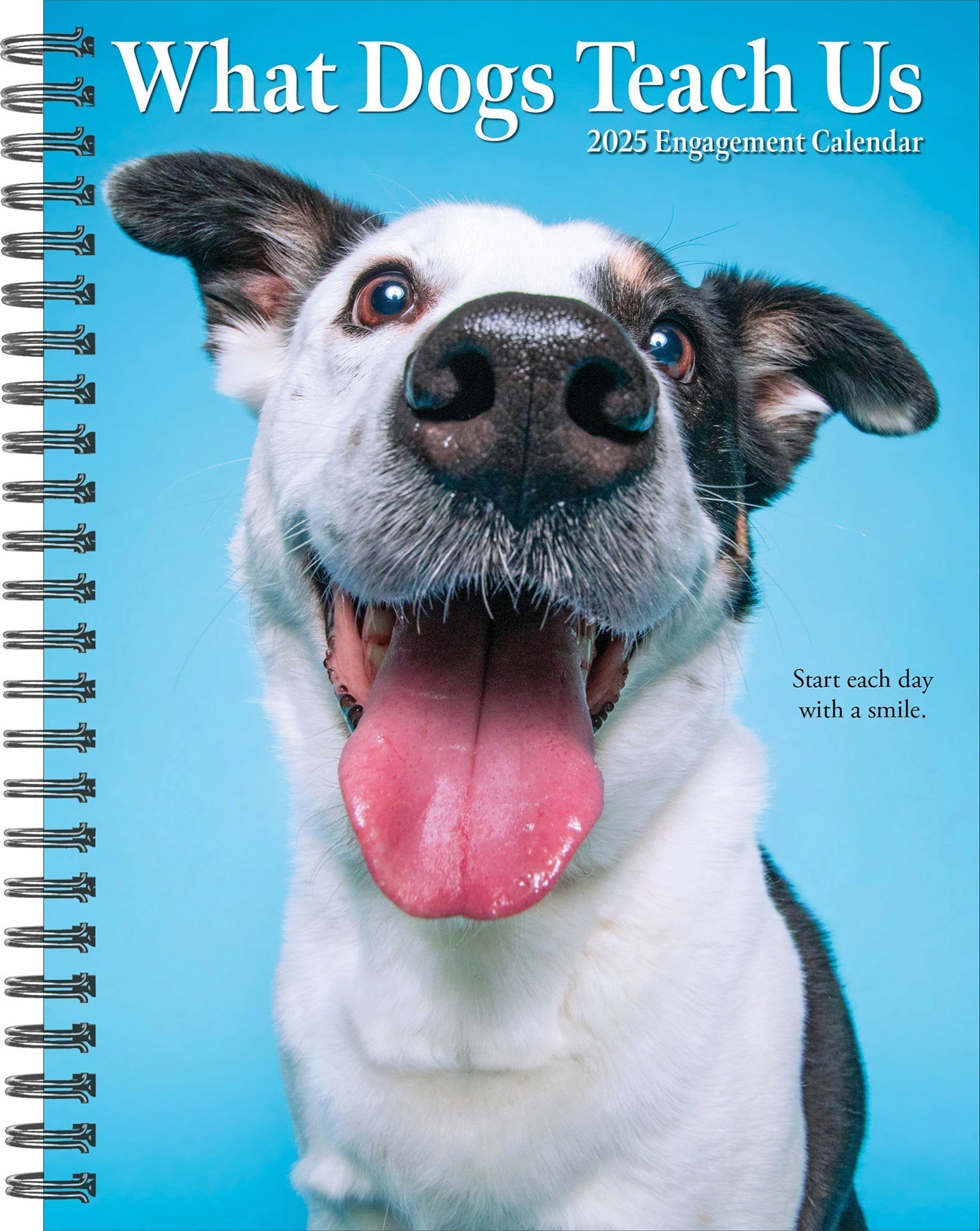 2025 What Dogs Teach Us - Weekly Diary/Planner (US Only)