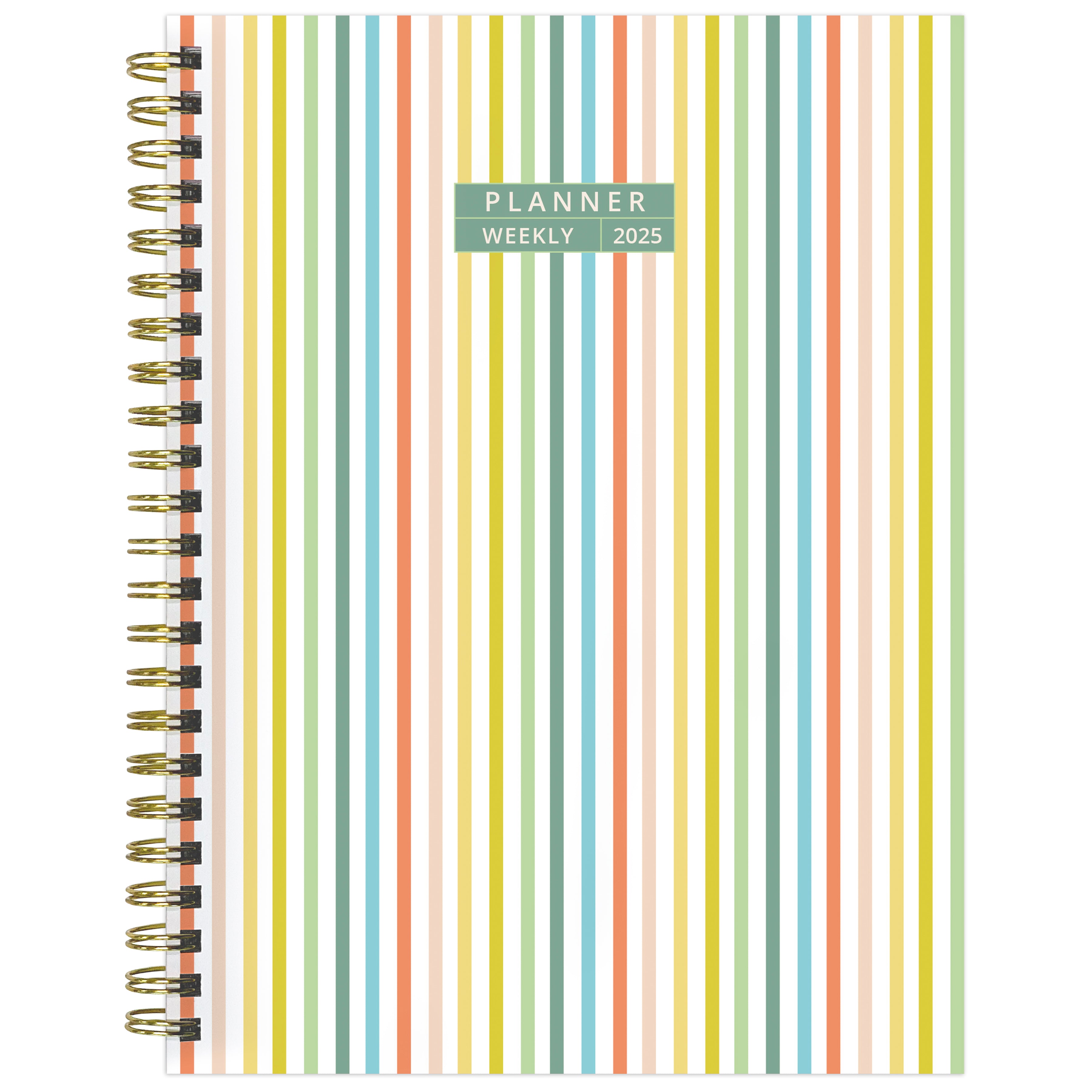 2025 Malibu Stripes - Medium Monthly & Weekly Diary/Planner