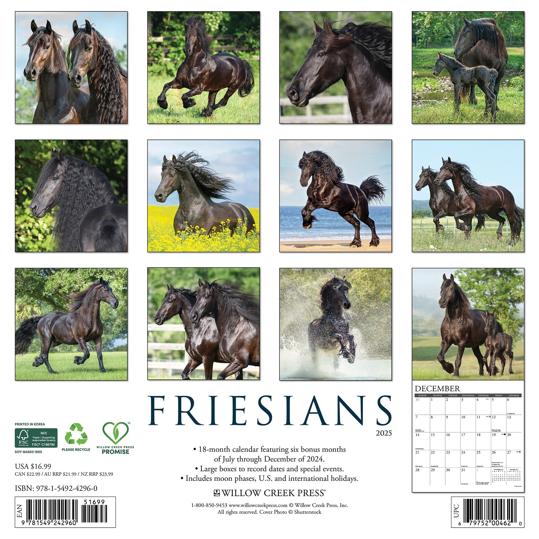 2025 Friesians - Square Wall Calendar (US Only)