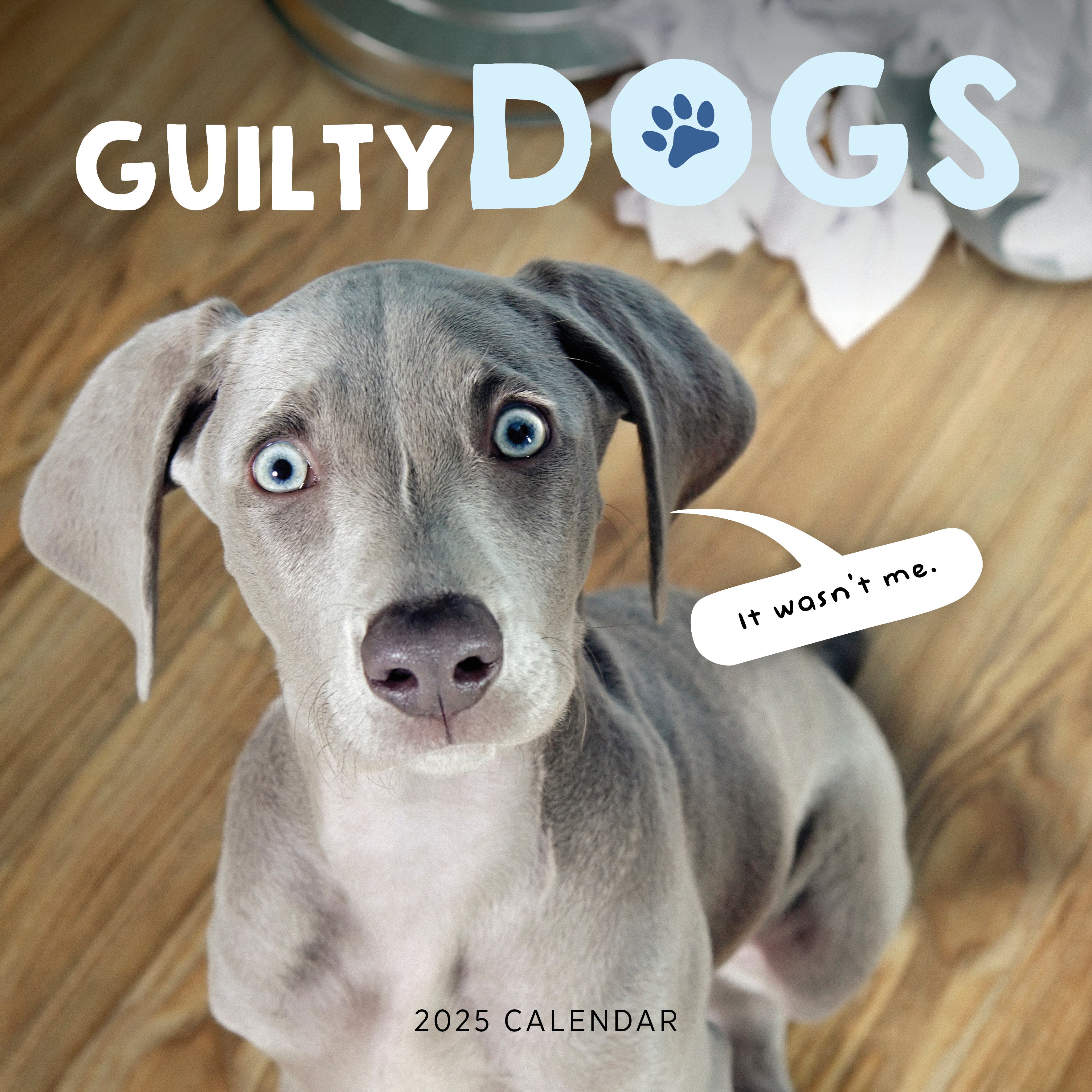 2025 Guilty Dogs - Square Wall Calendar