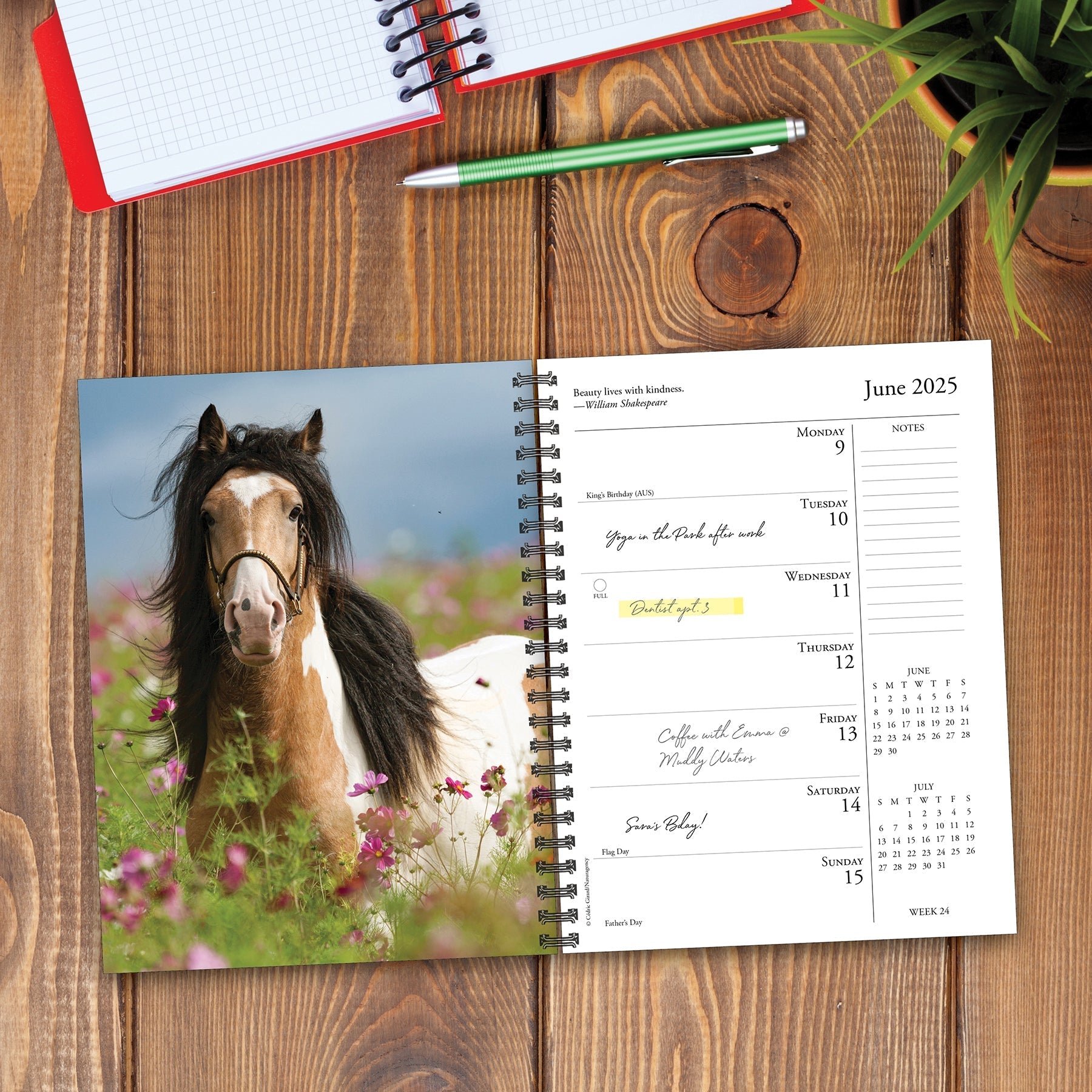 2025 What Horses Teach Us - Weekly Diary/Planner (US Only)