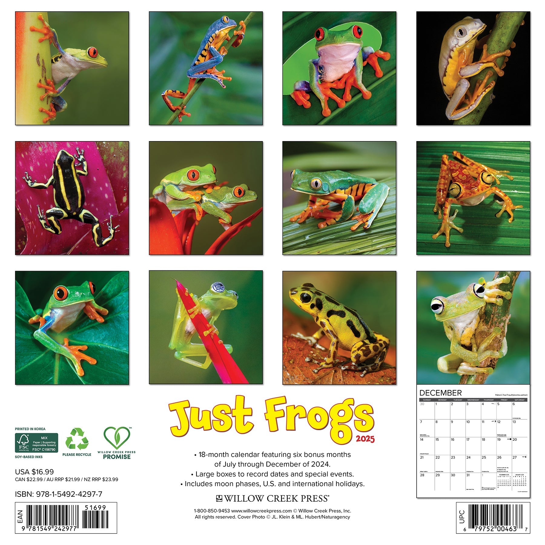 2025 Frogs - Square Wall Calendar (US Only)