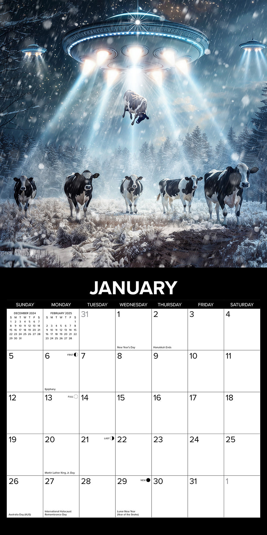 2025 Cow Abductions - Square Wall Calendar (US Only)